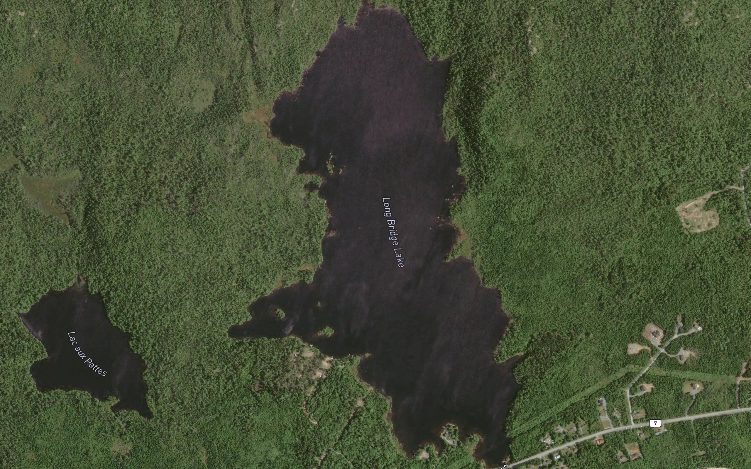 Long Bridge Lake
