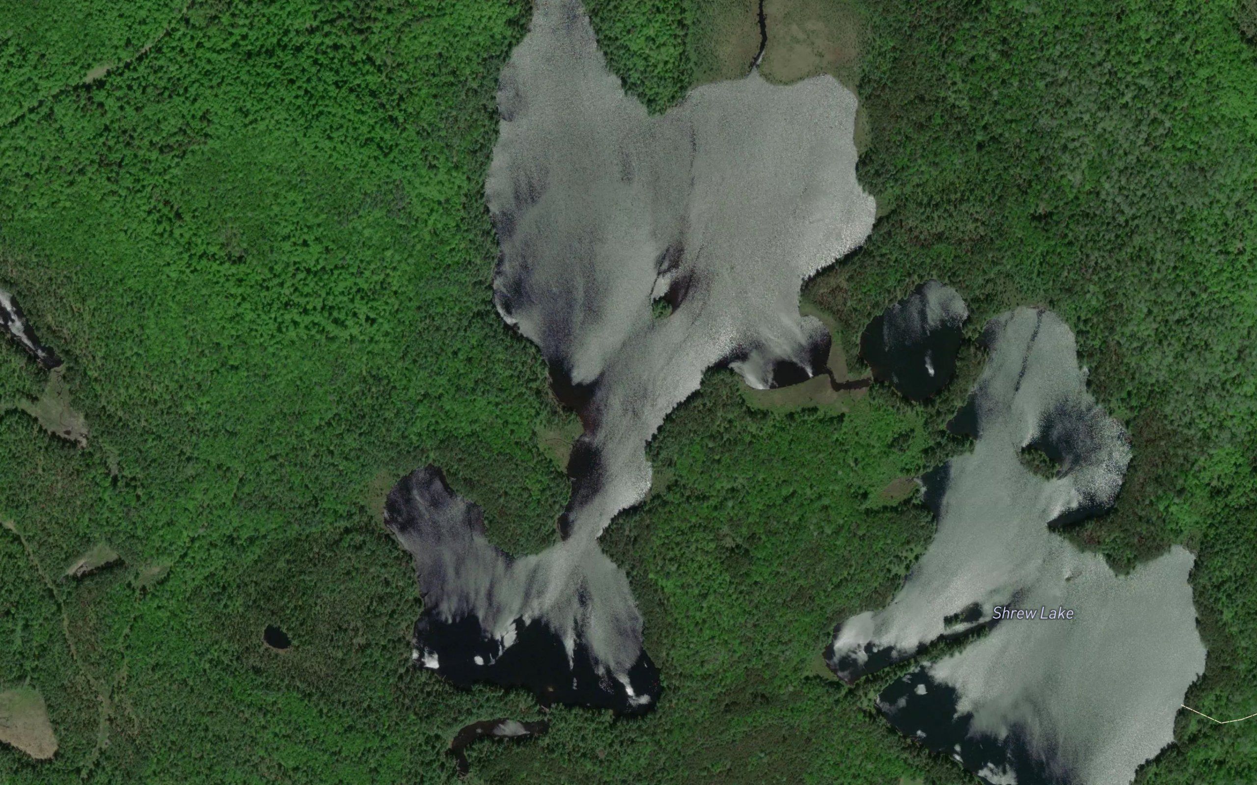 Mudville Lake