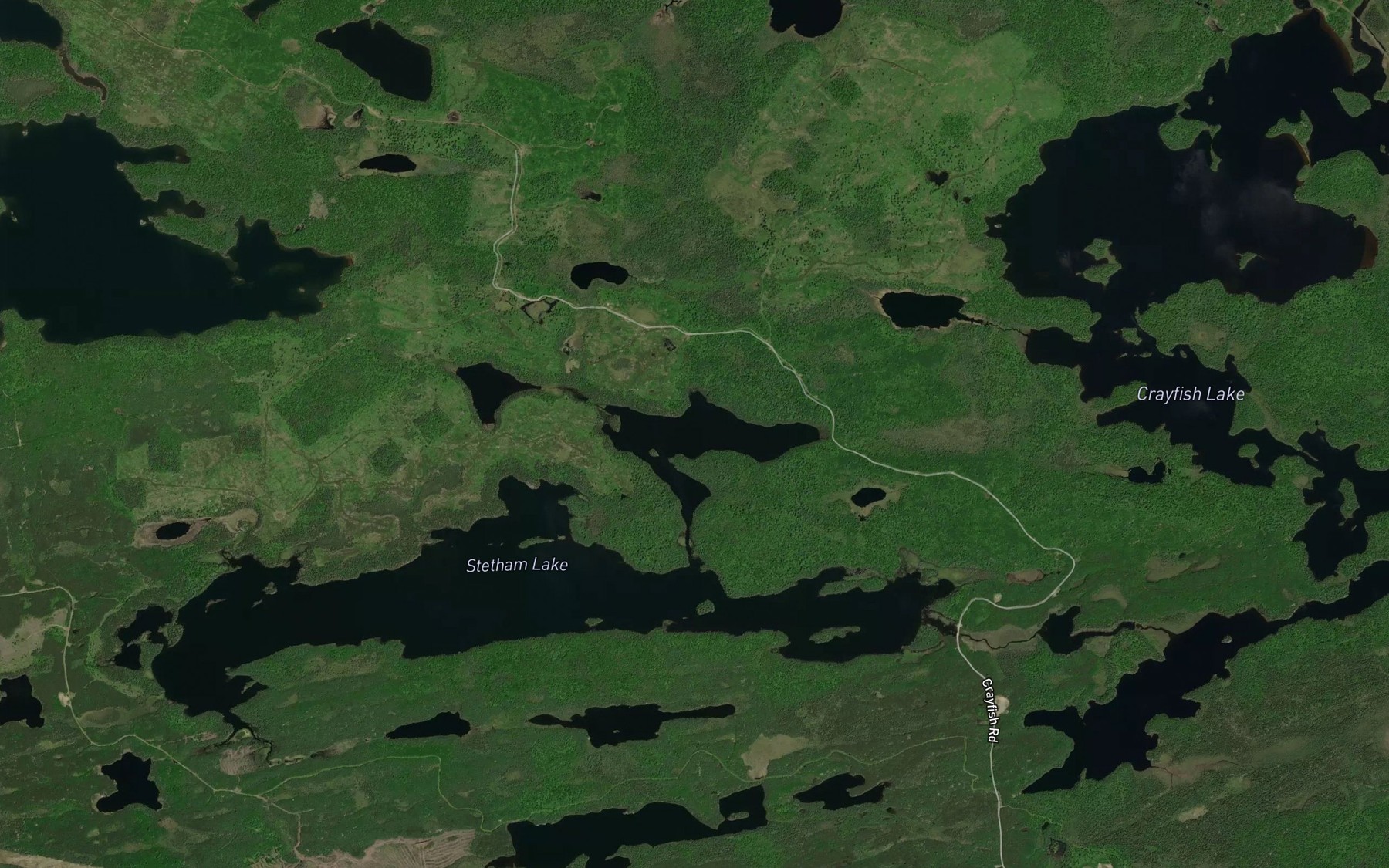 Satellite map of the Deman Lake