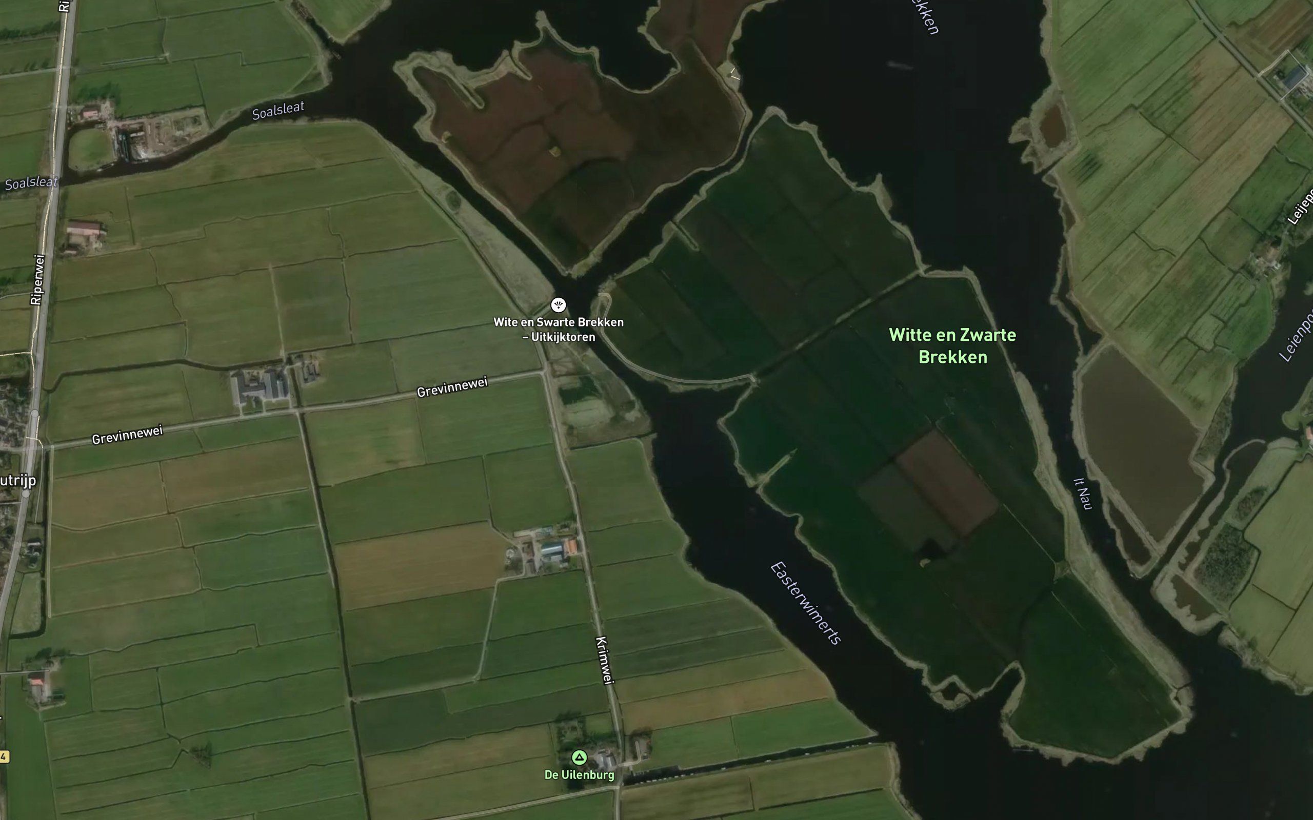 Ooster Wijmerts