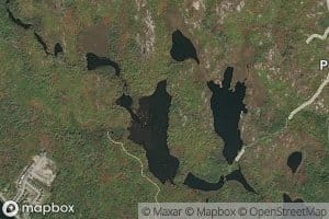 West Pine Island Pond