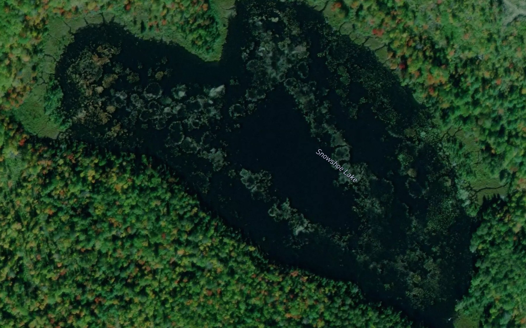 Satellite map of the Snowshoe Lake