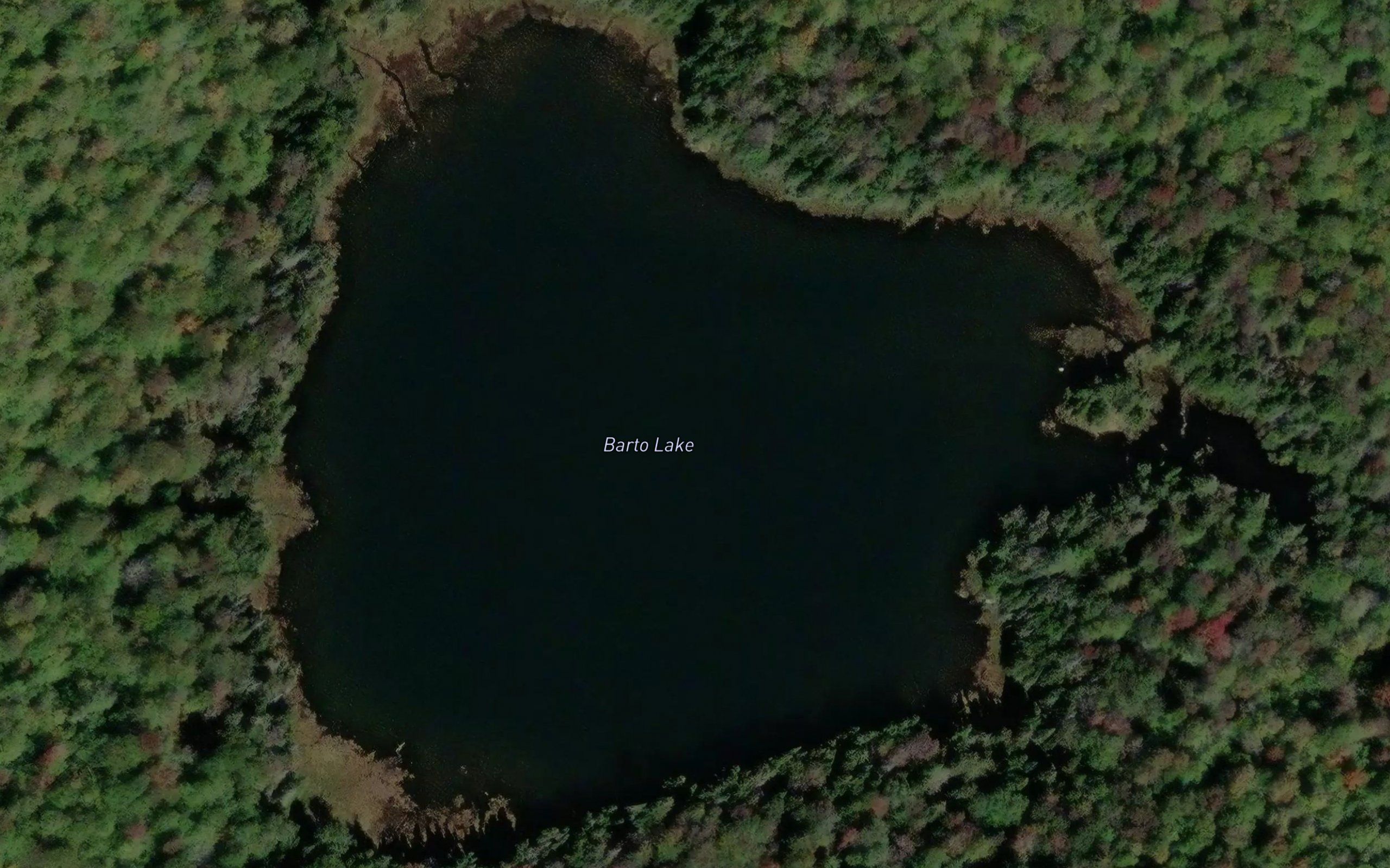 Barto Lake