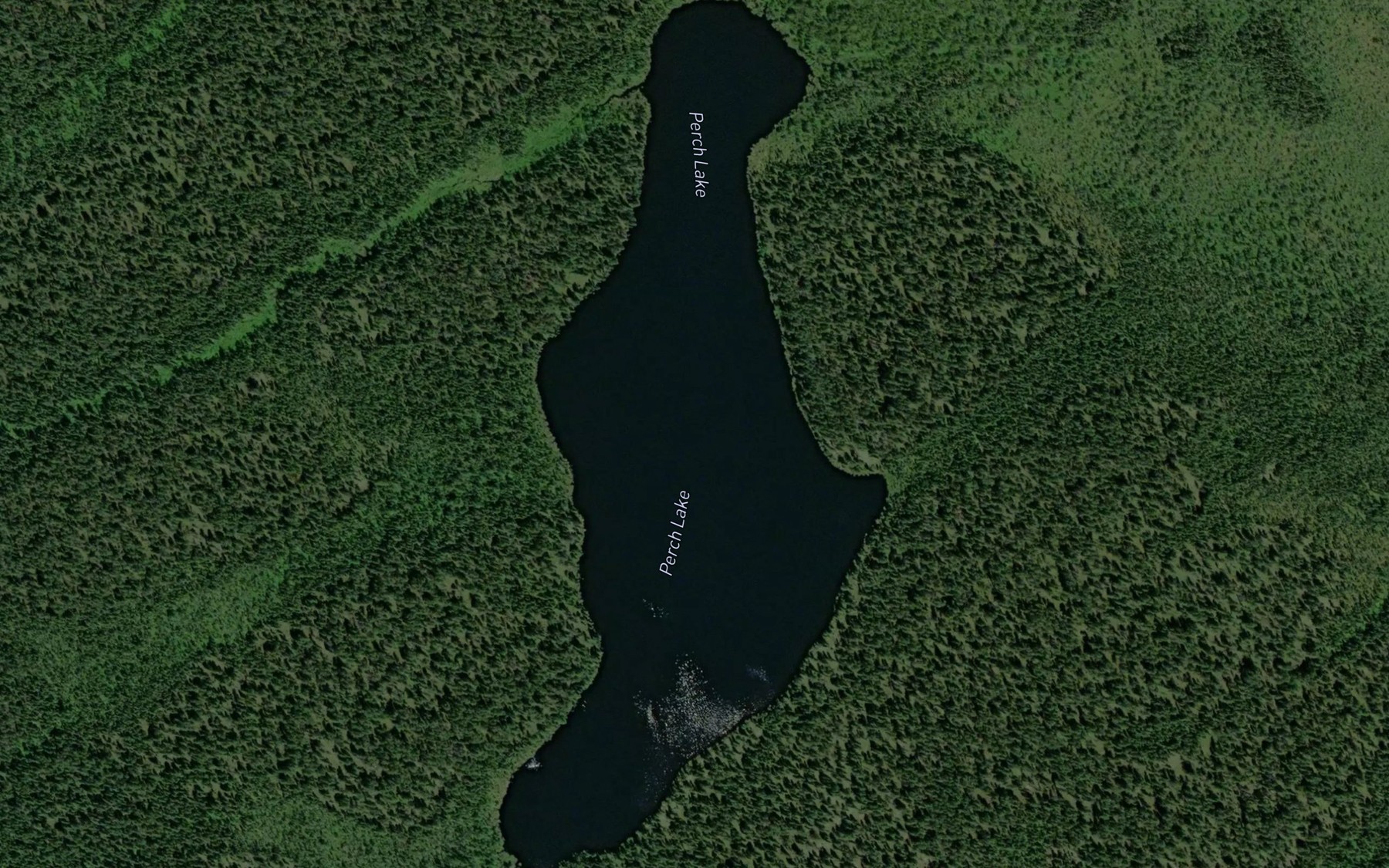 Satellite map of the Perch Lake