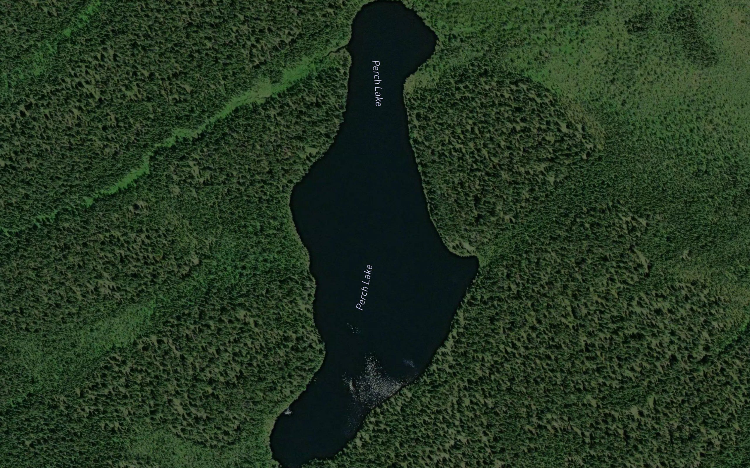 Perch Lake