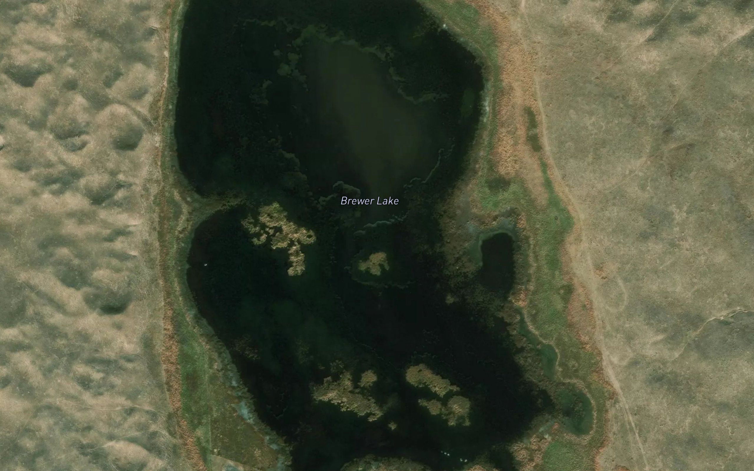 Brewer Lake