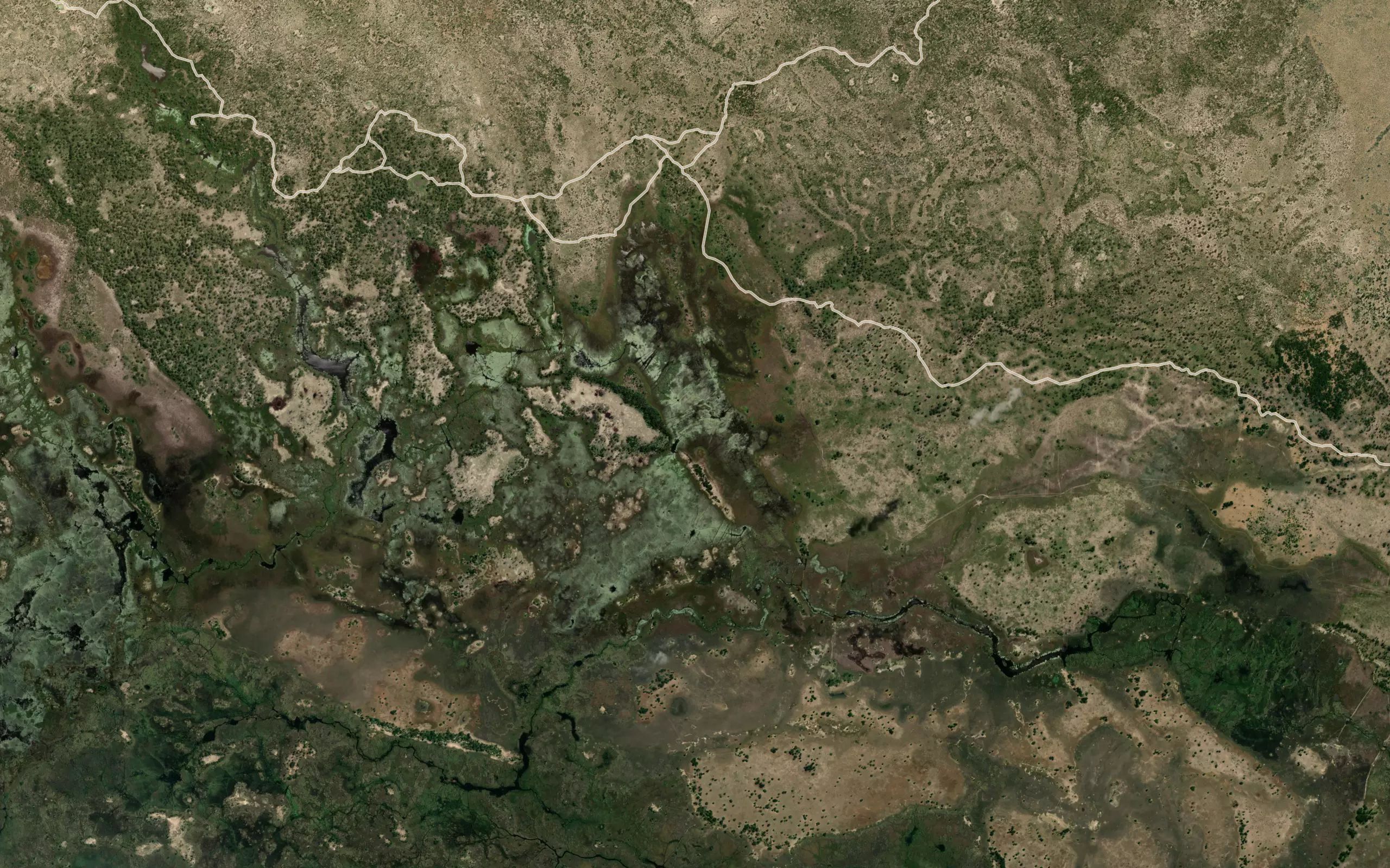 Delta de l'Okavango