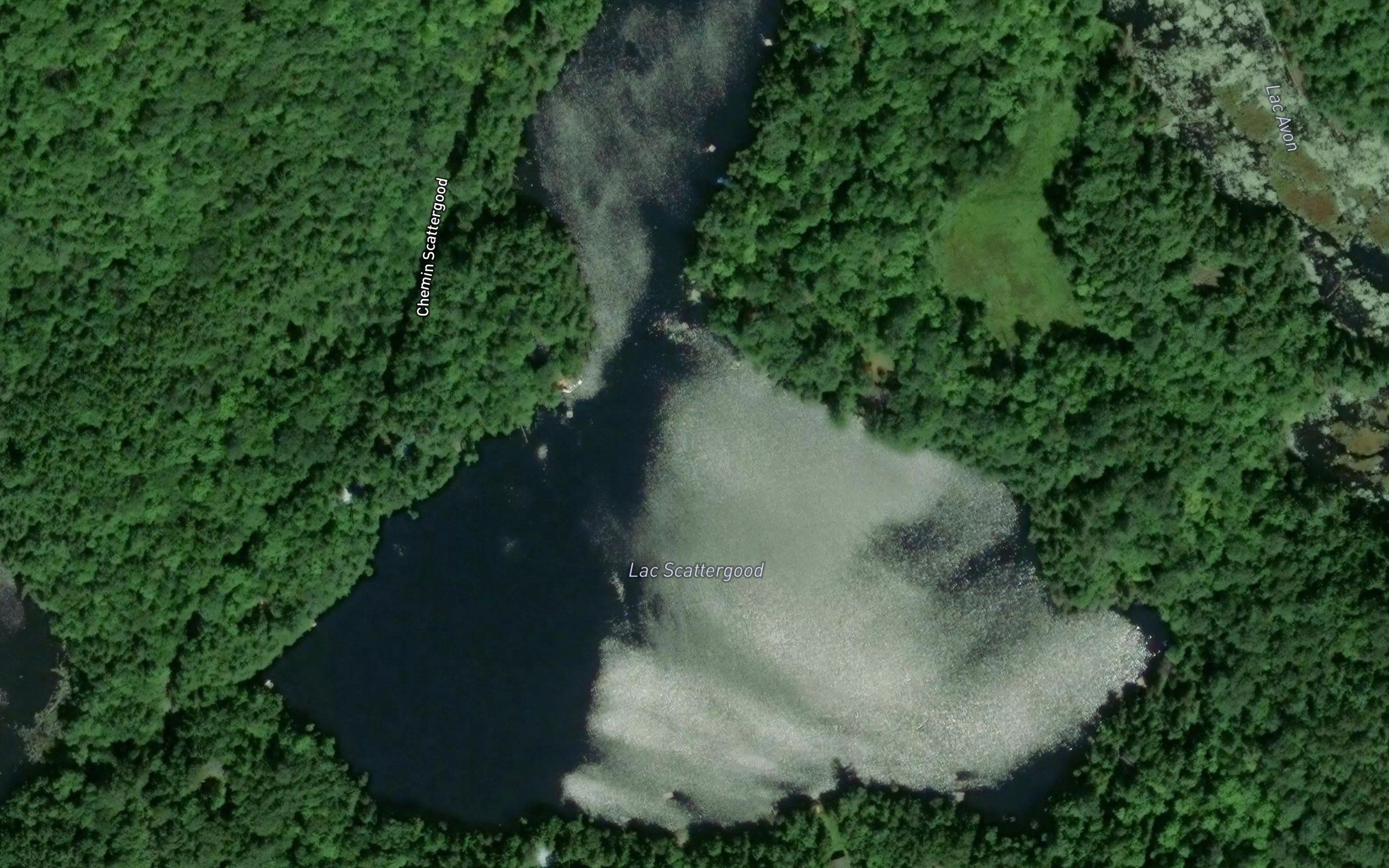 Lac Scattergood