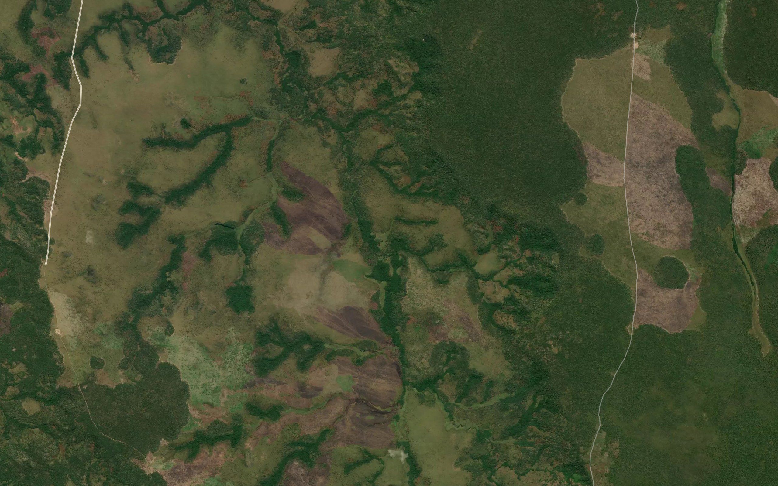 Sangula