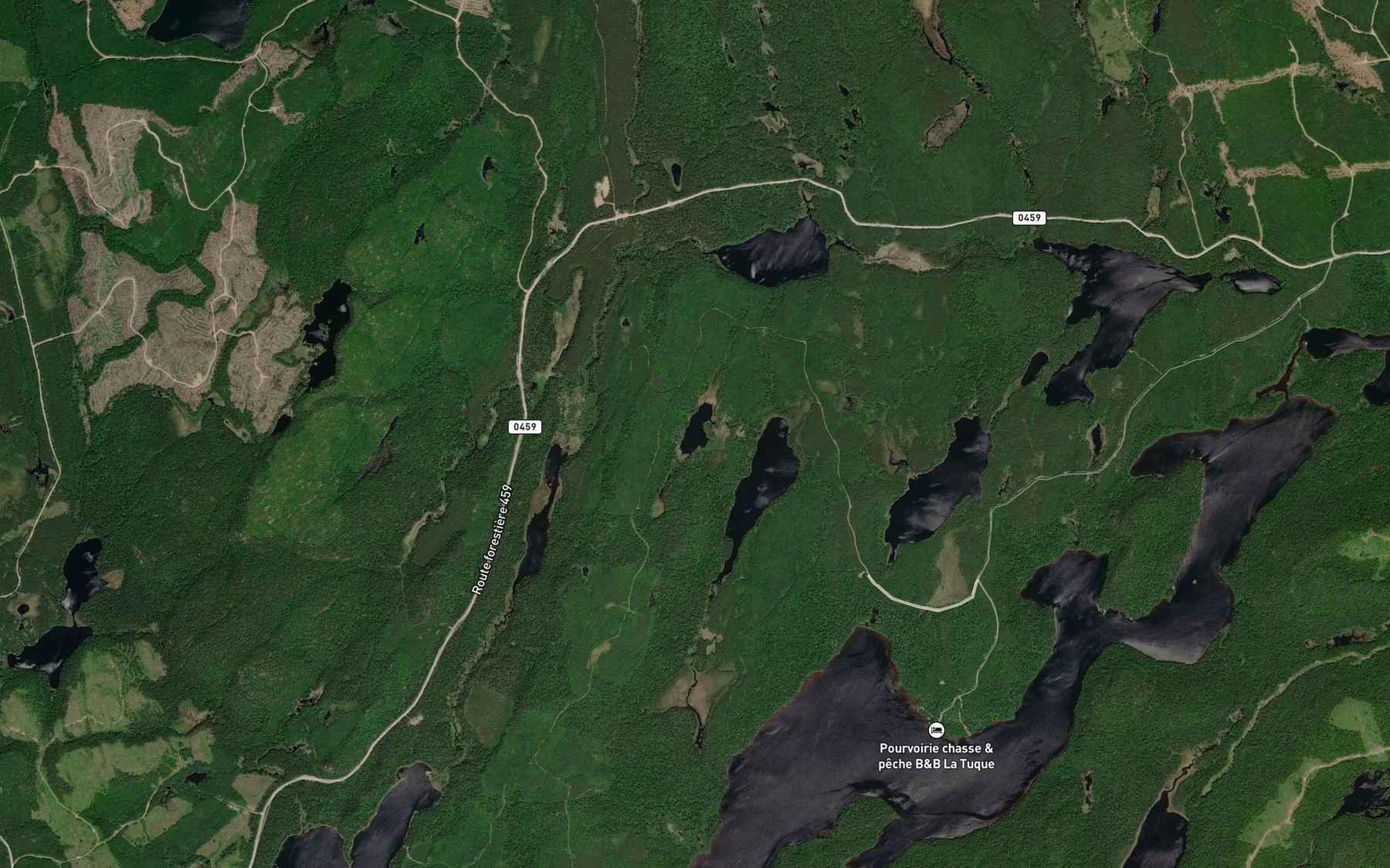 Satellite map of the Lac du Rongeur