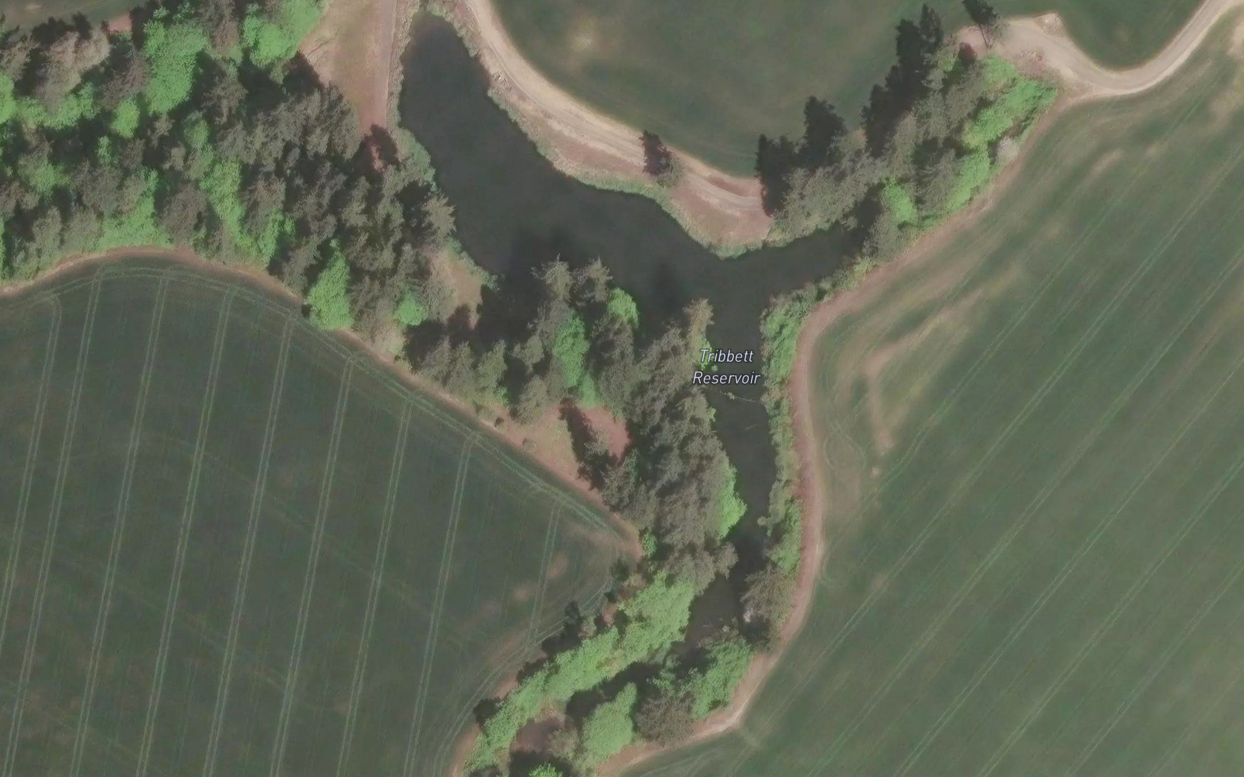 Tribbett Reservoir