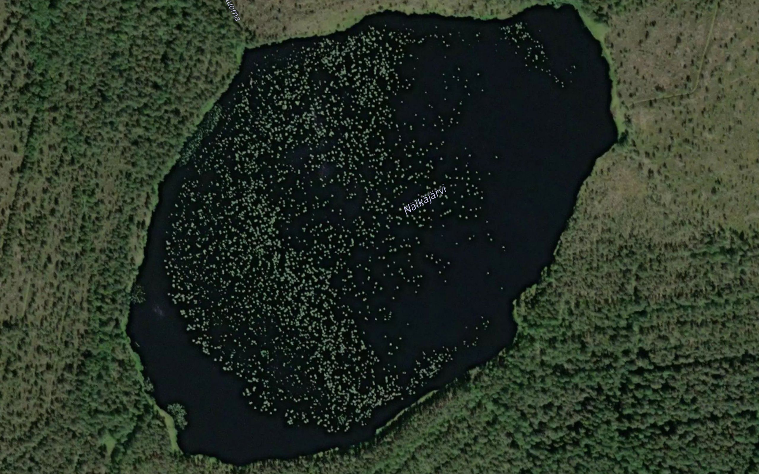 Nalkajarvi