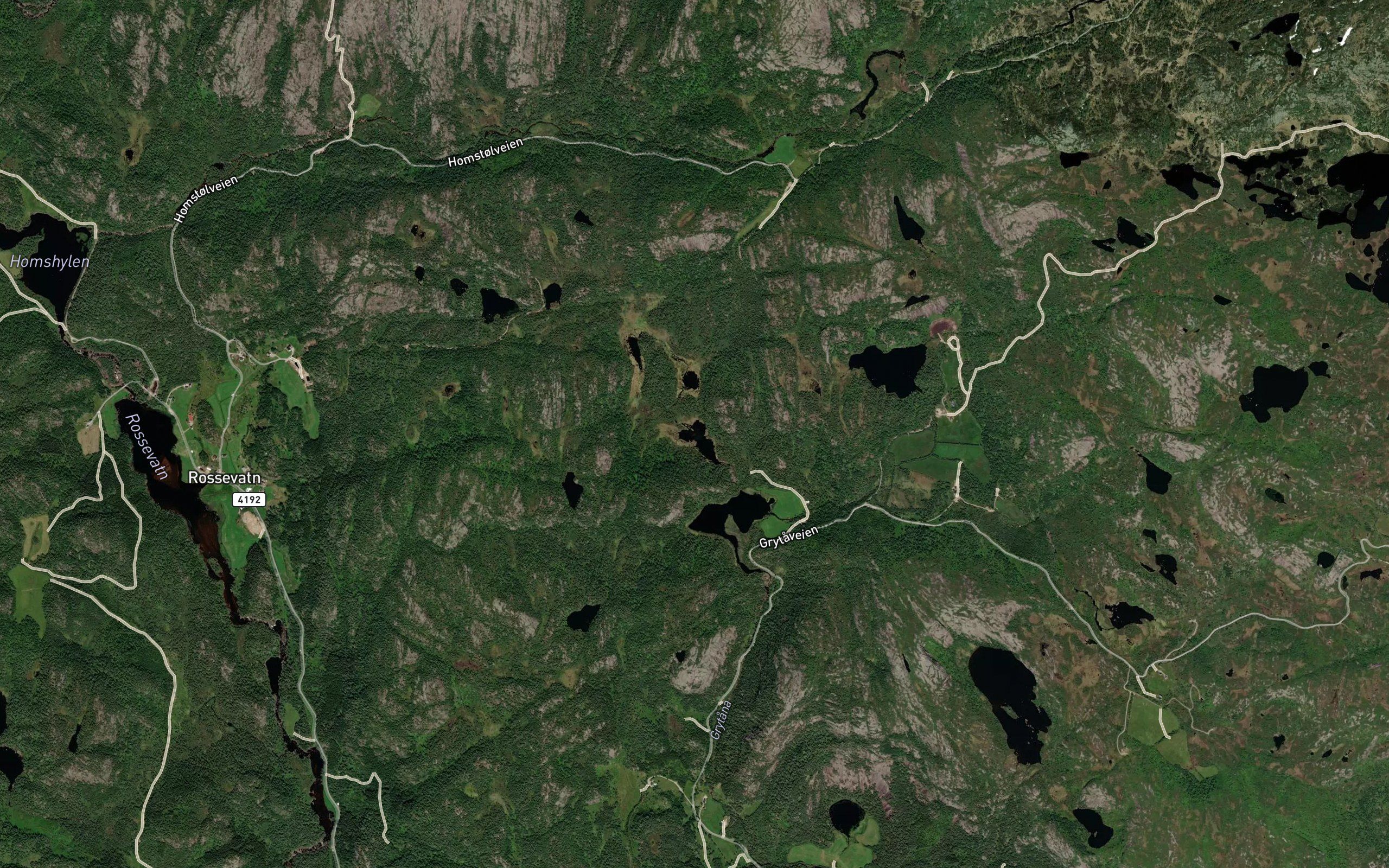 Lonelitjodnen