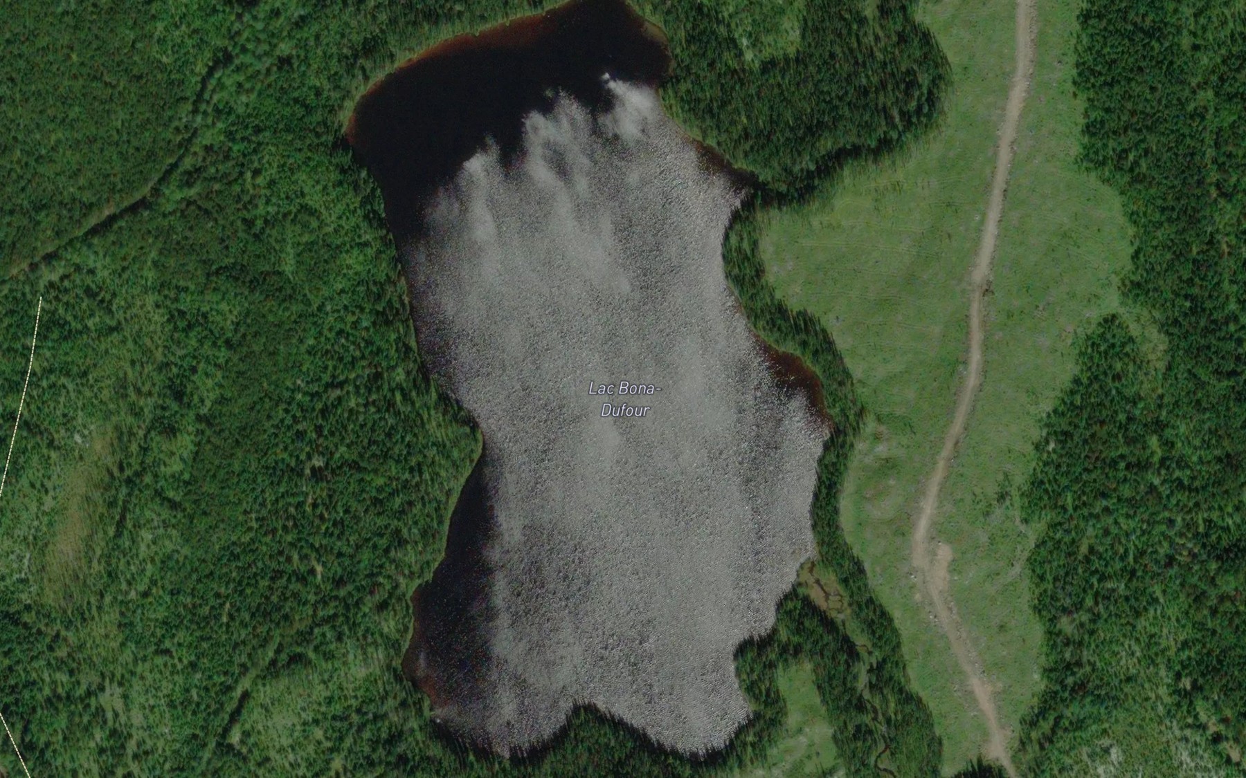 Satellite map of the Lac Bona-Dufour