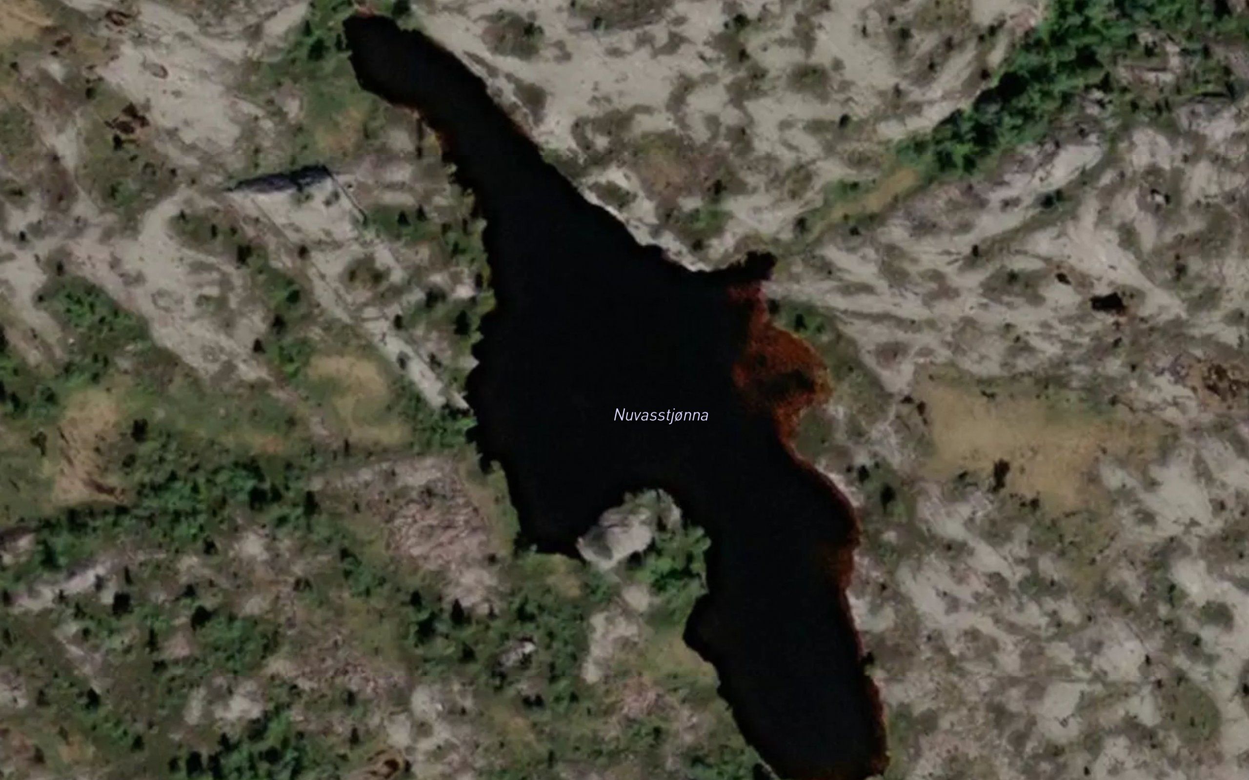 Nuvasstjorn