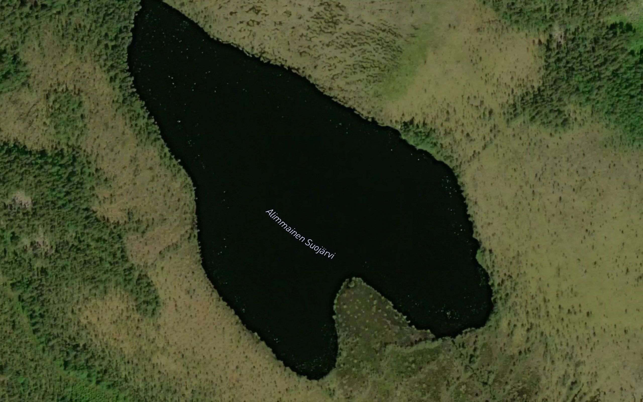 Alimmainen Suojarvi