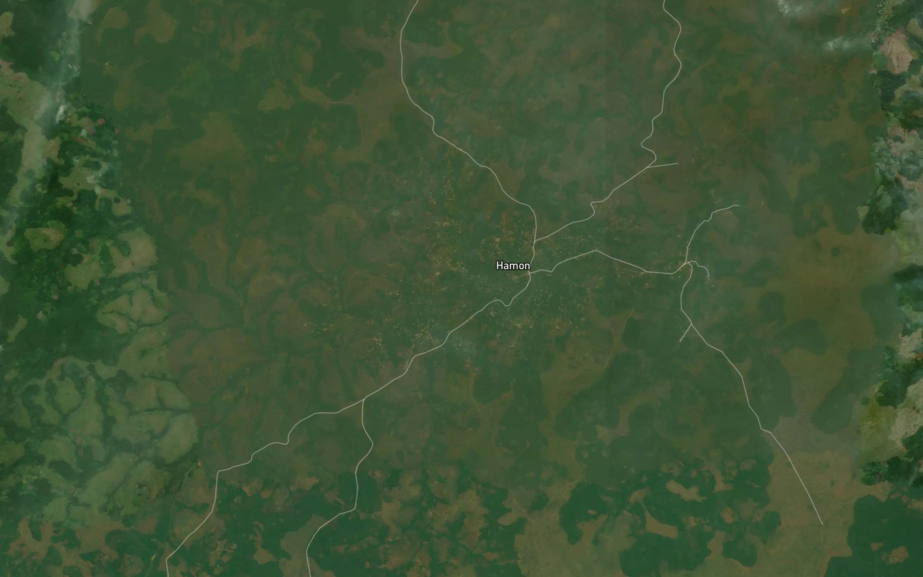 Satellite map of the Ngabame