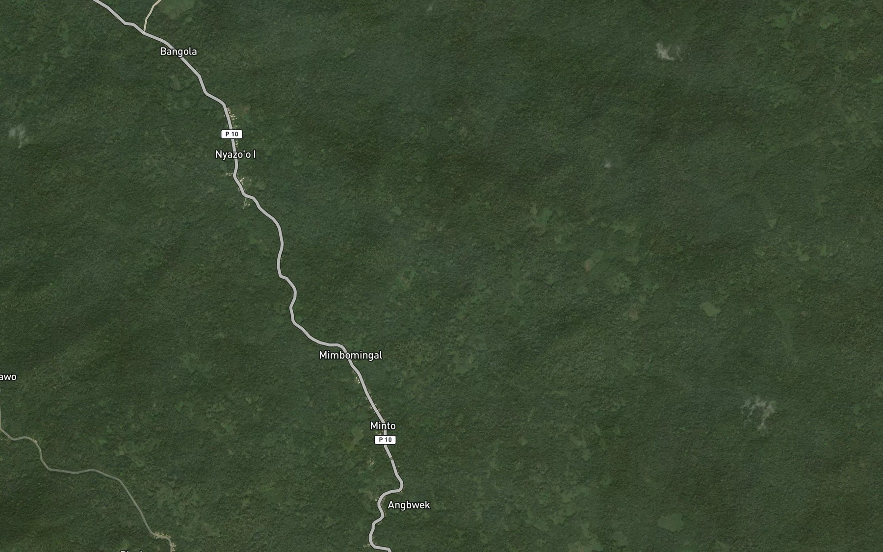 Satellite map of the Petit Nyaso