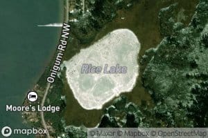 Rice Lake