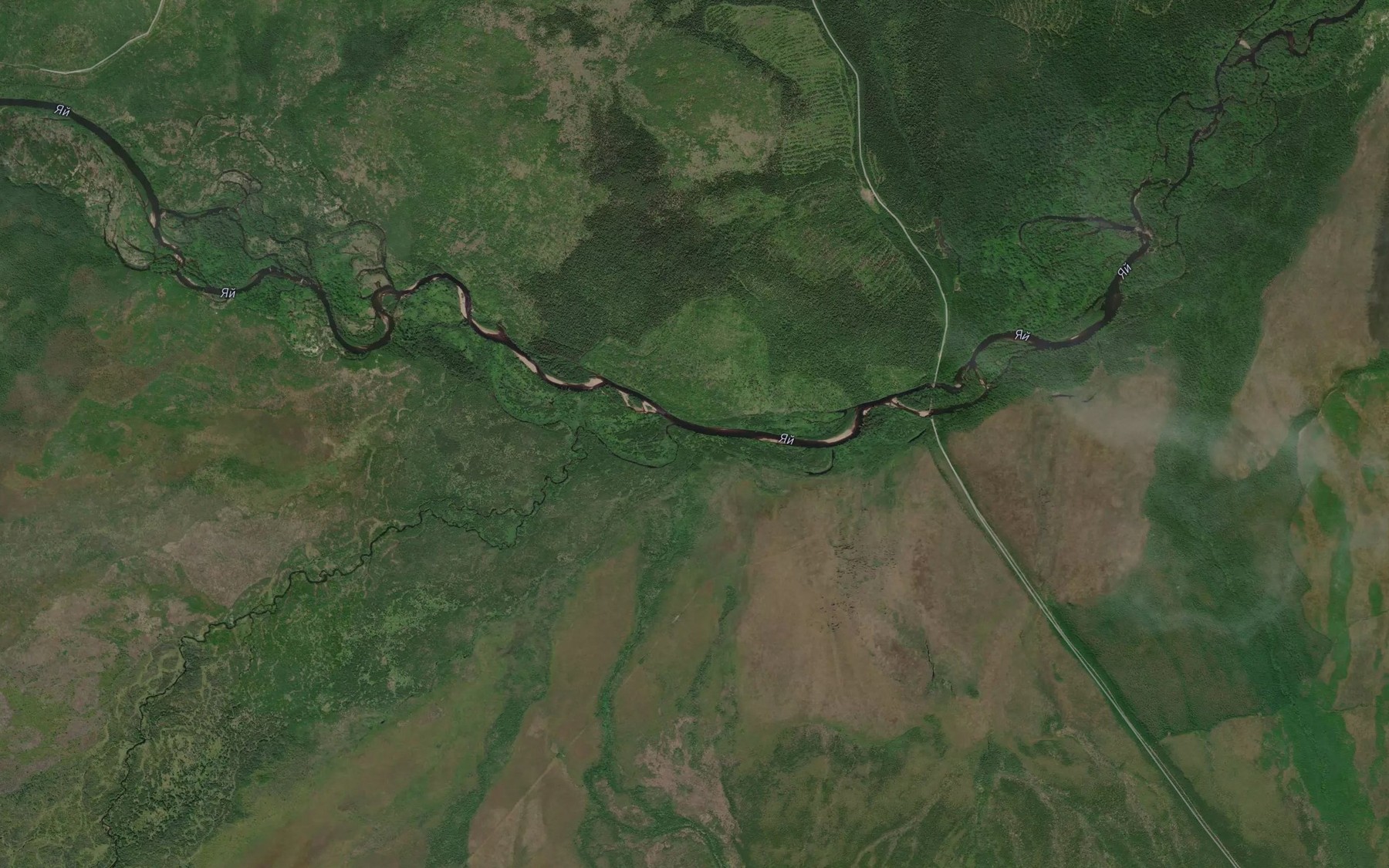 Satellite map of the Lesnoy