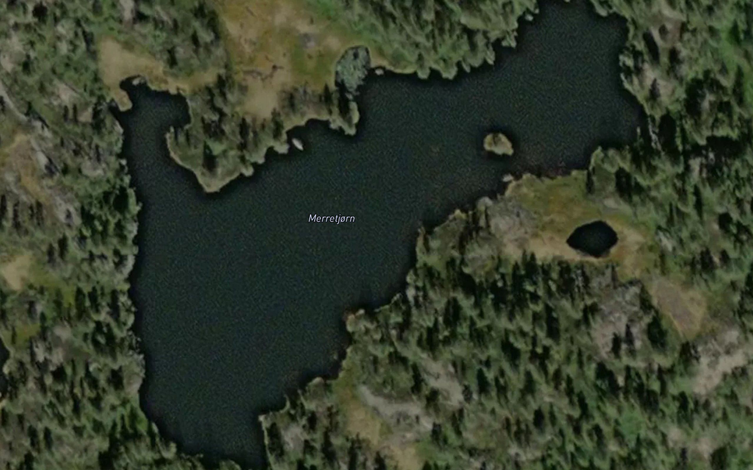 Merretjorn