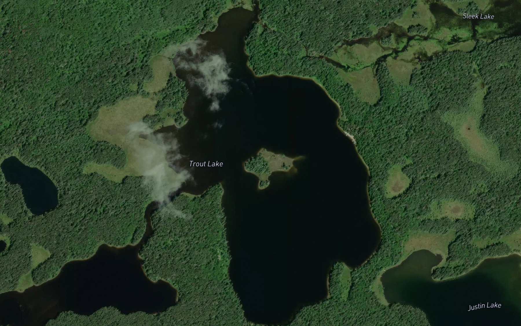 Satellite map of the Trout Lake