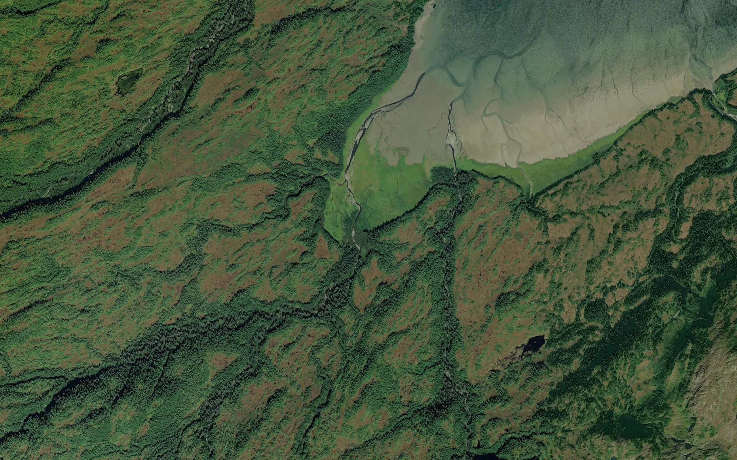 Dan Creek