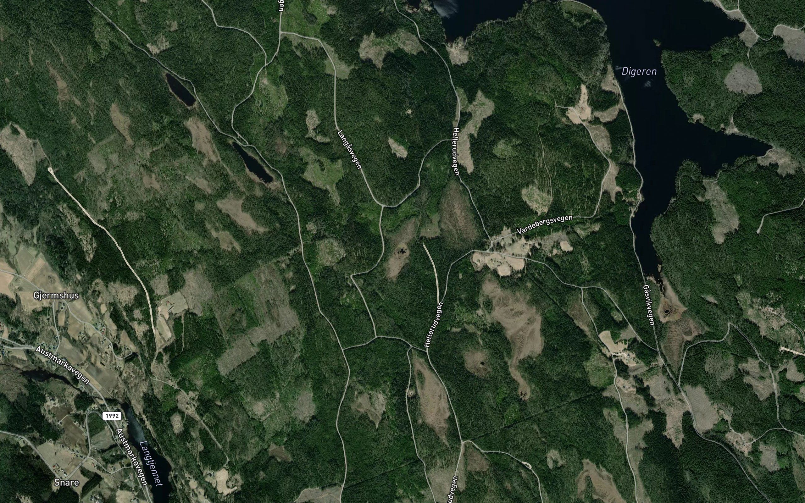 Oksaugetjennet