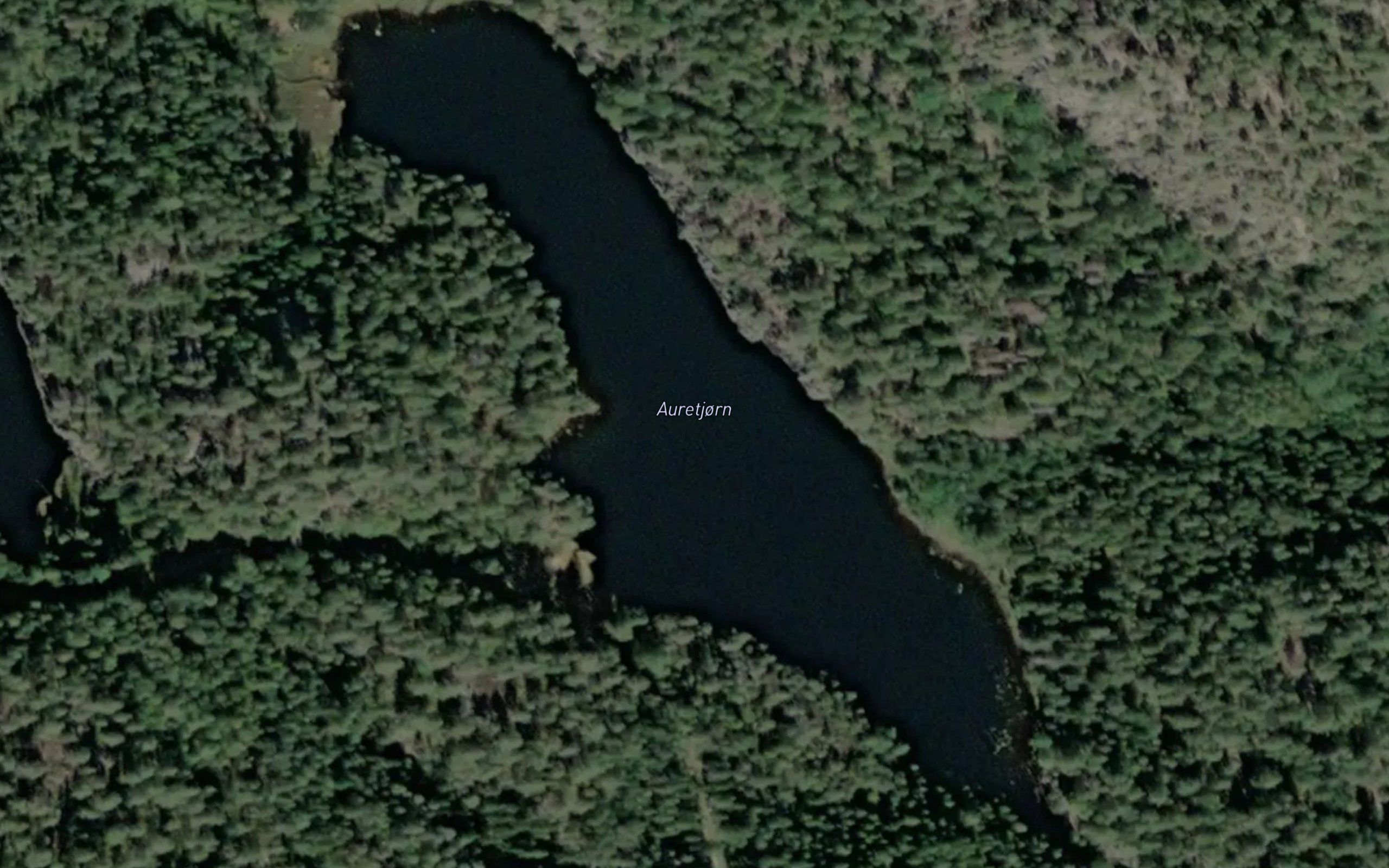 Auretjonn