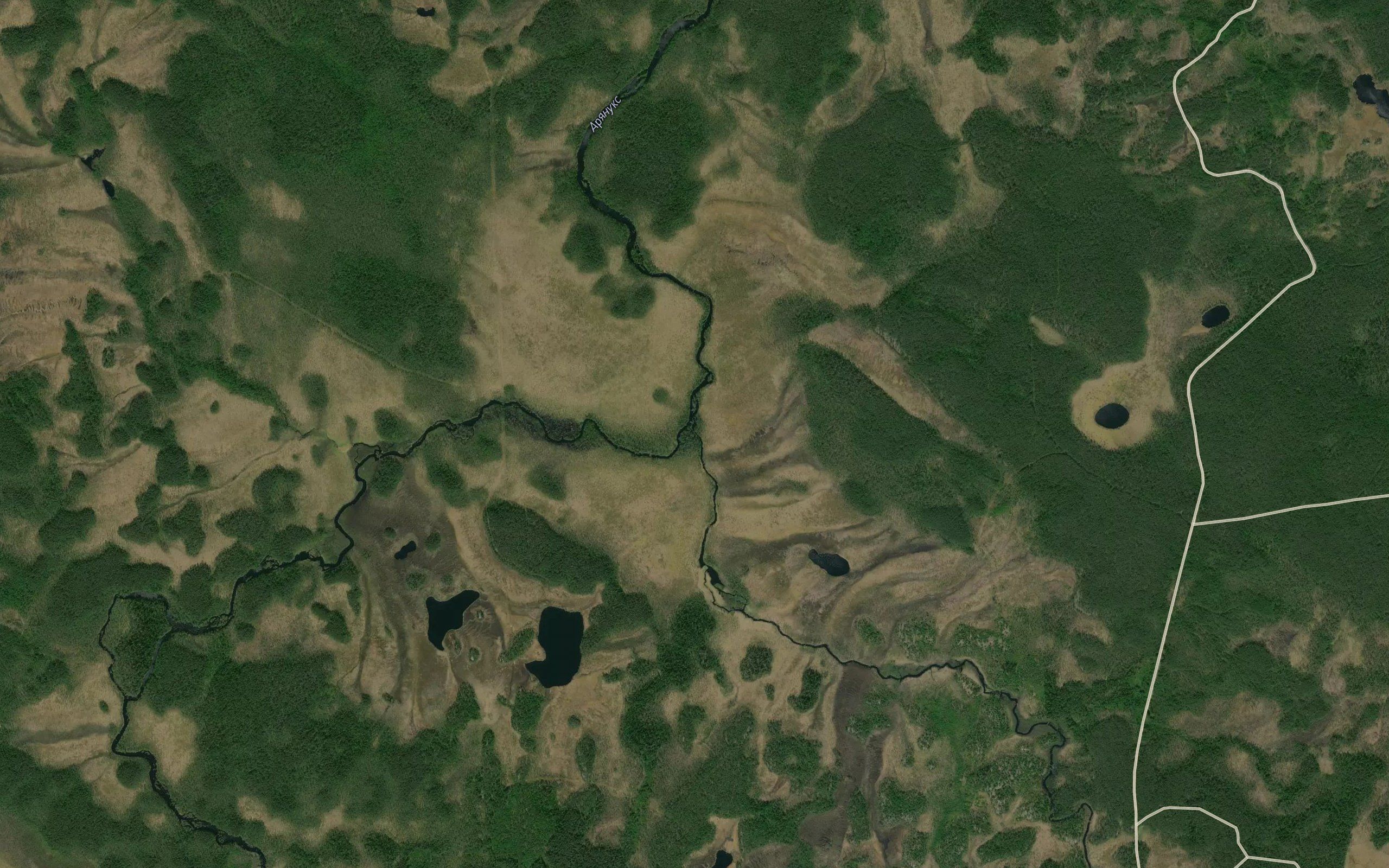 Suksinga