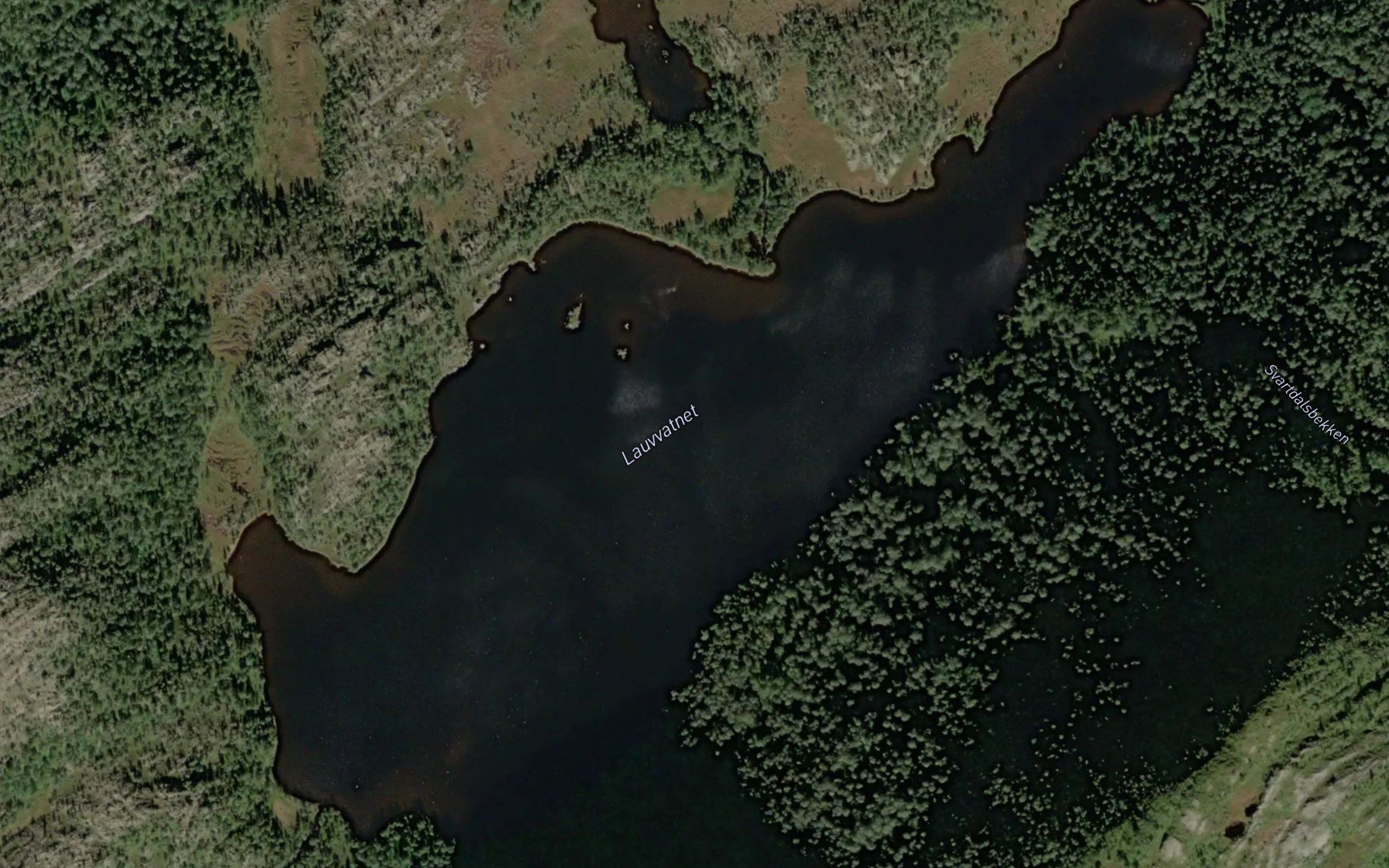 Lauvvatnet