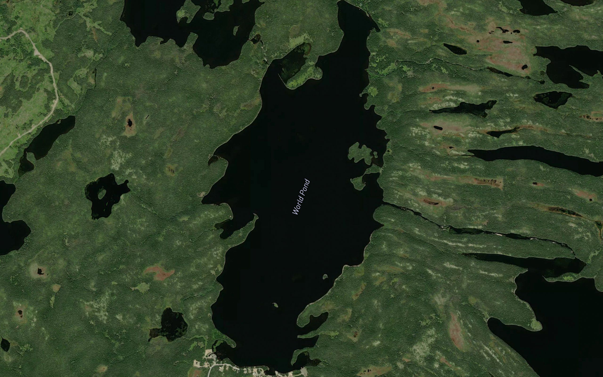 World Pond