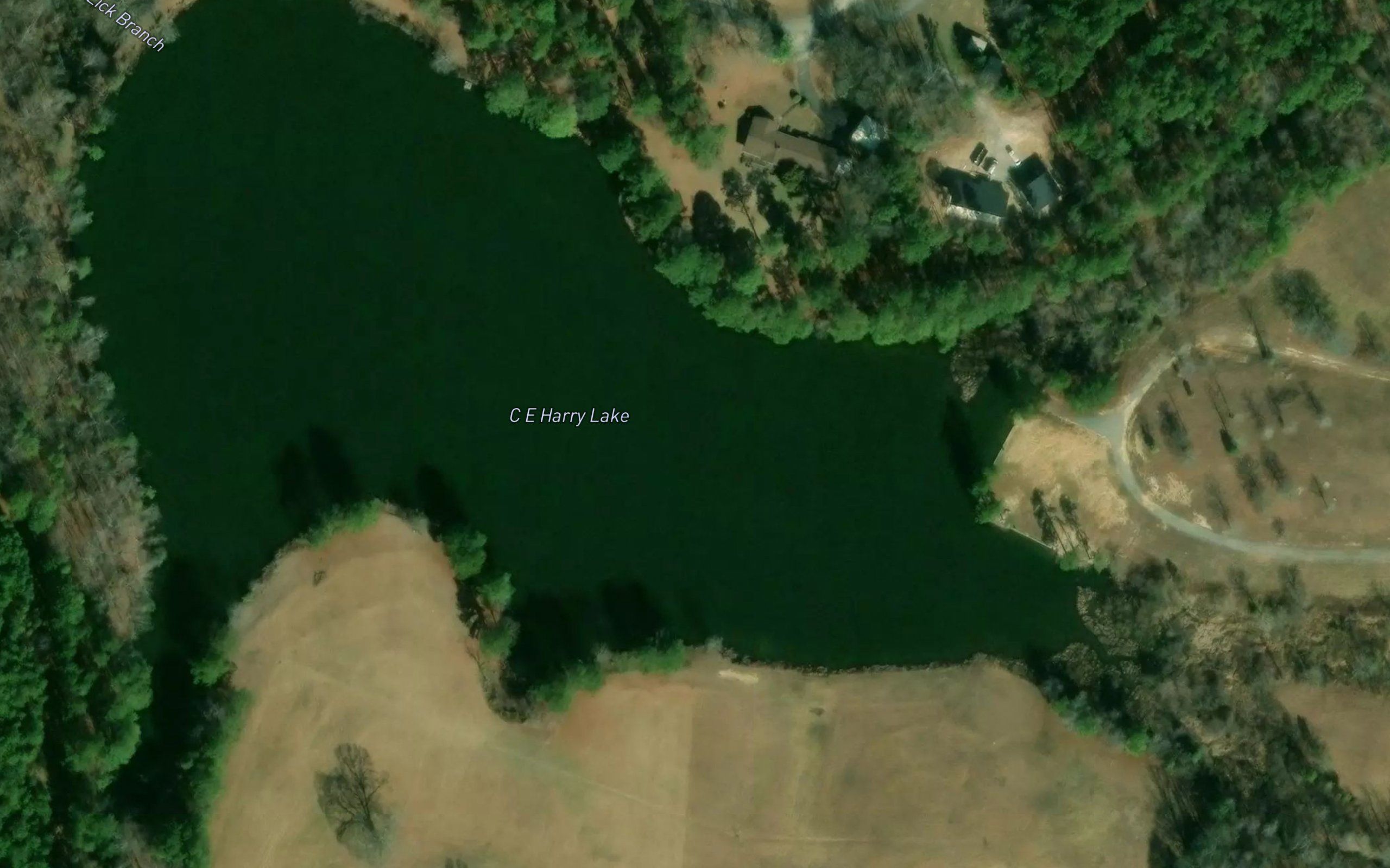 C E Harry Lake