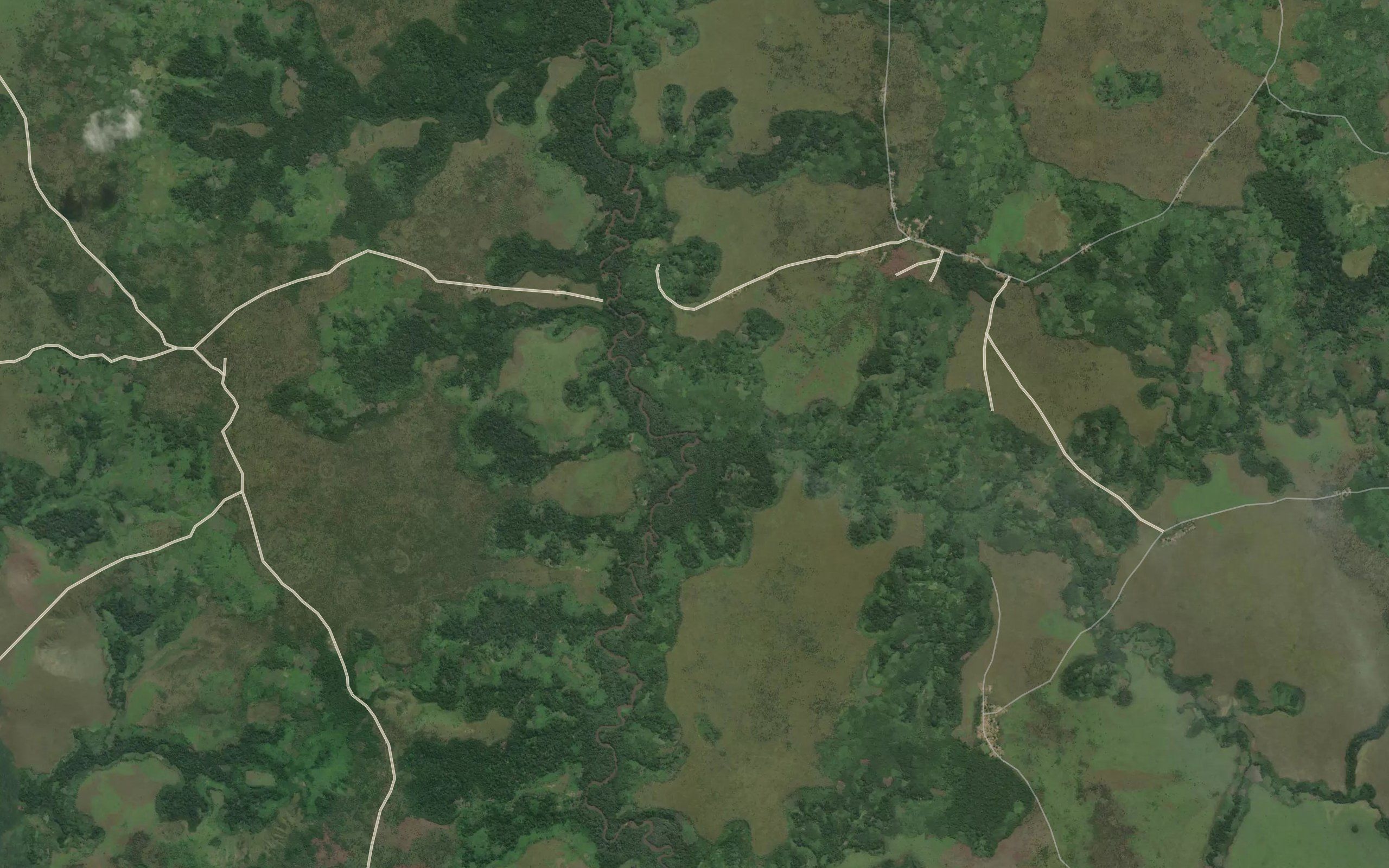 Wangu