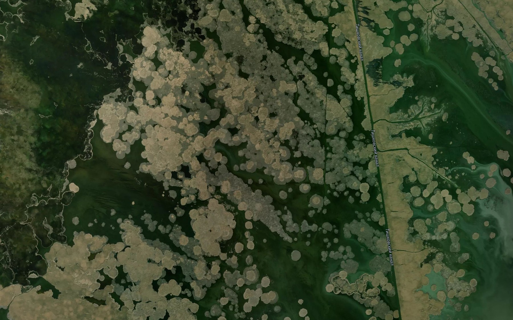 Satellite map of the Protoka Tishkovskaya Yama