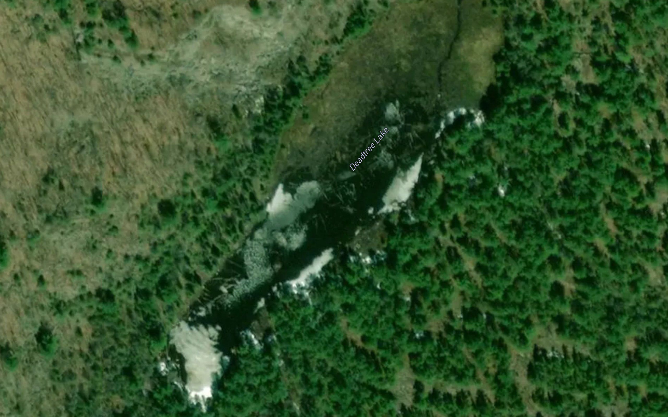 Deadtree Lake
