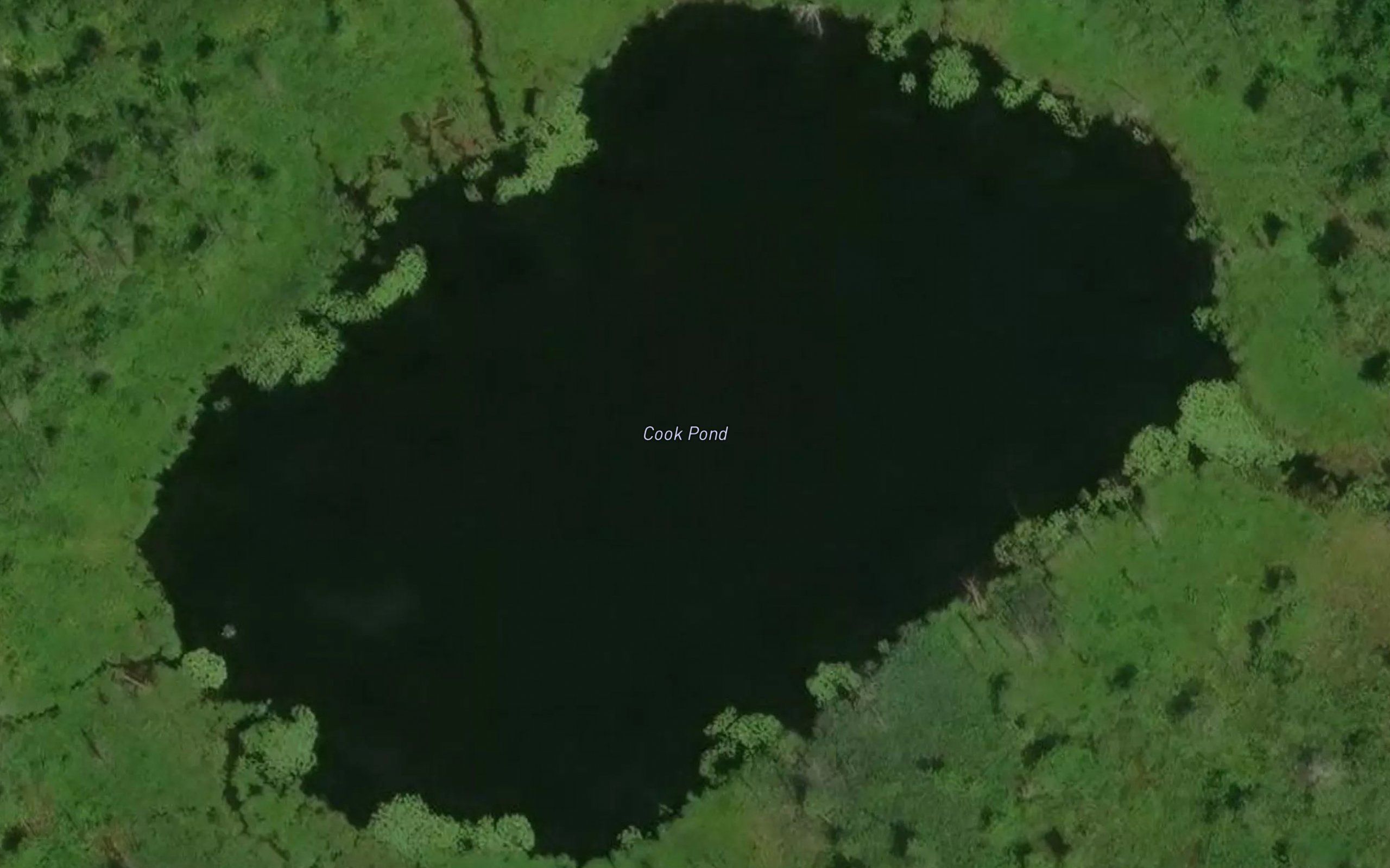 Cook Pond