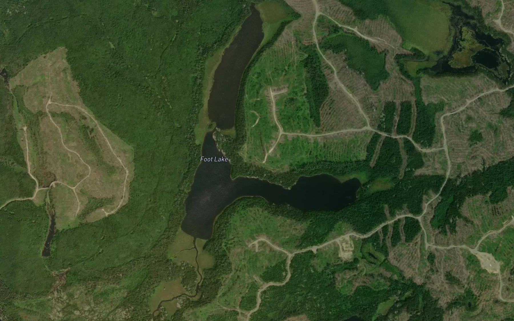 Satellite map of the Foot Lake