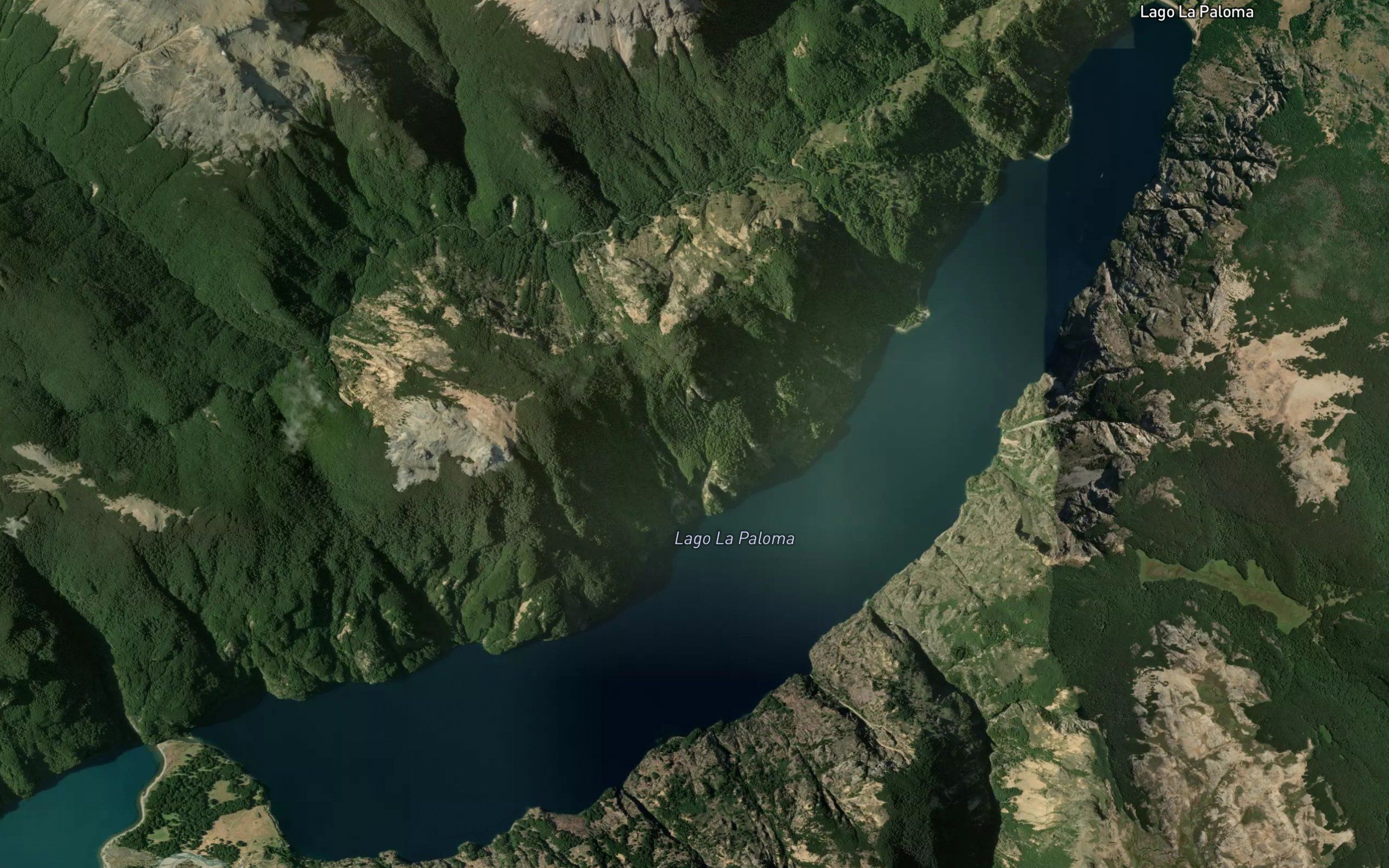 Lago La Paloma