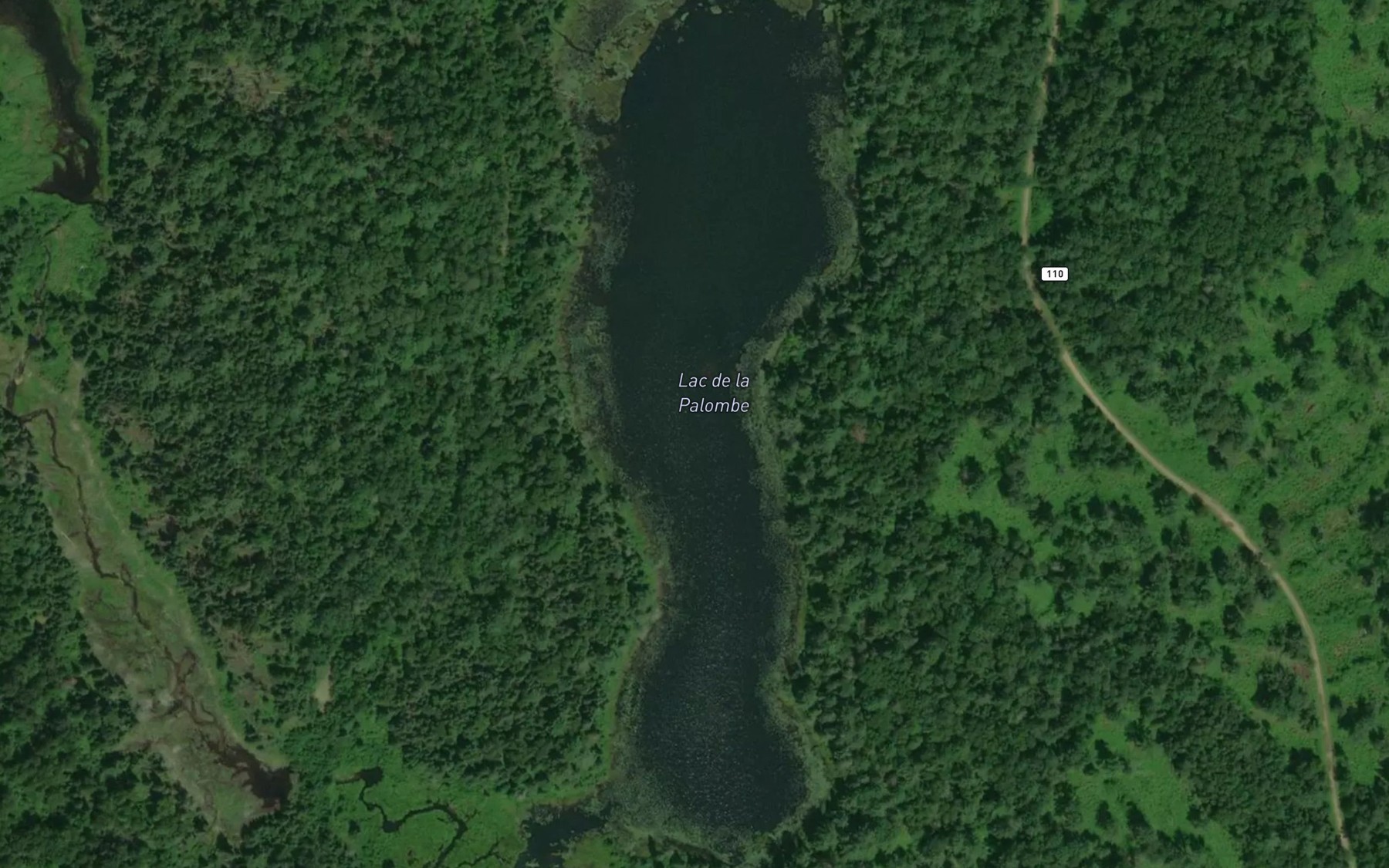 Satellite map of the Lac de la Palombe