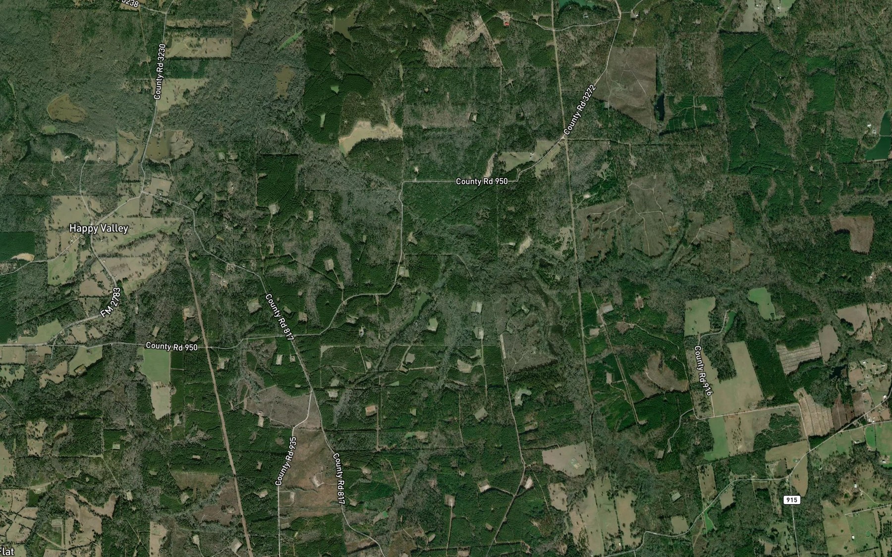 Satellite map of the Bog Branch