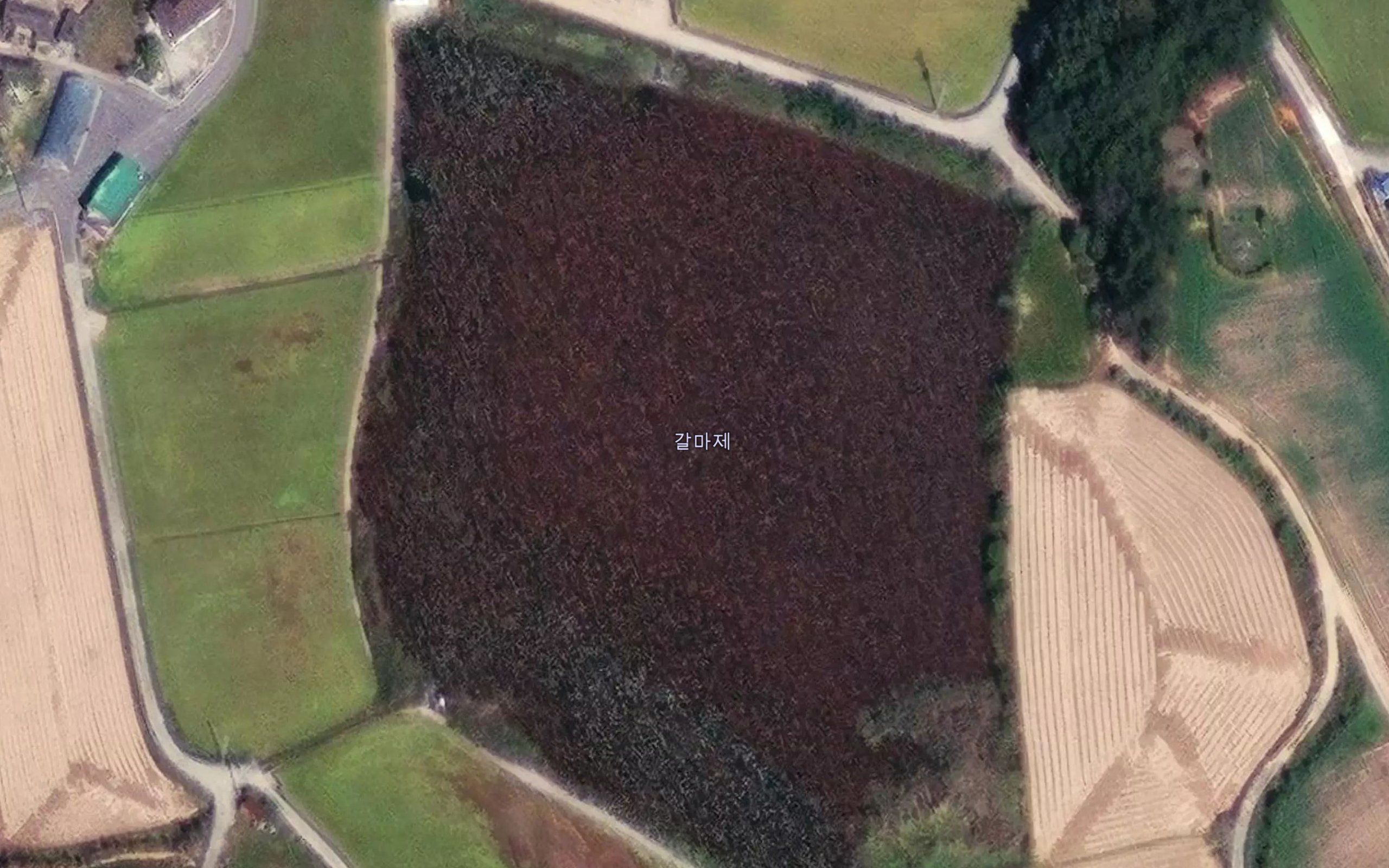 Galmaje