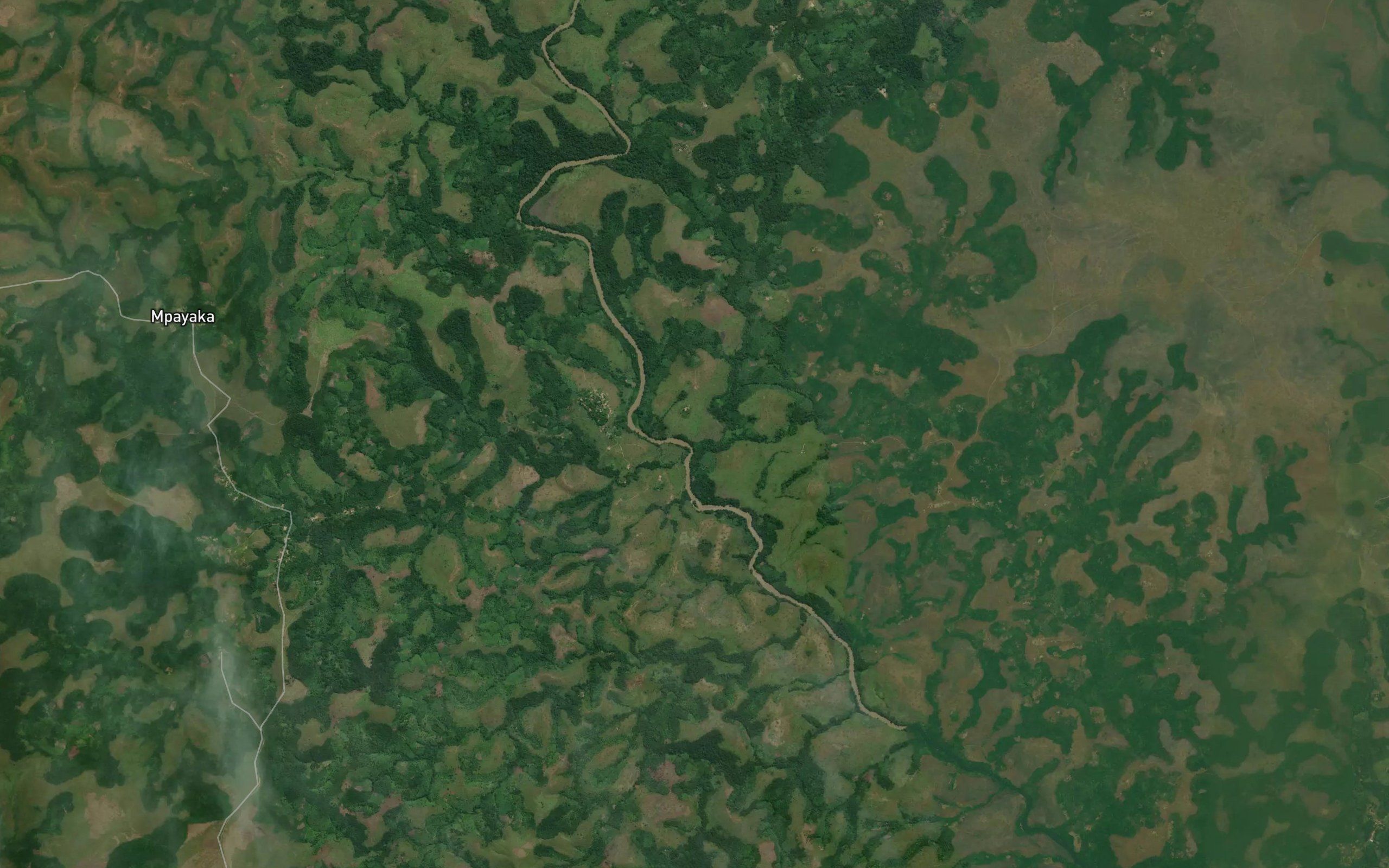 Nkoue