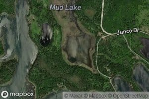 Mud Lake