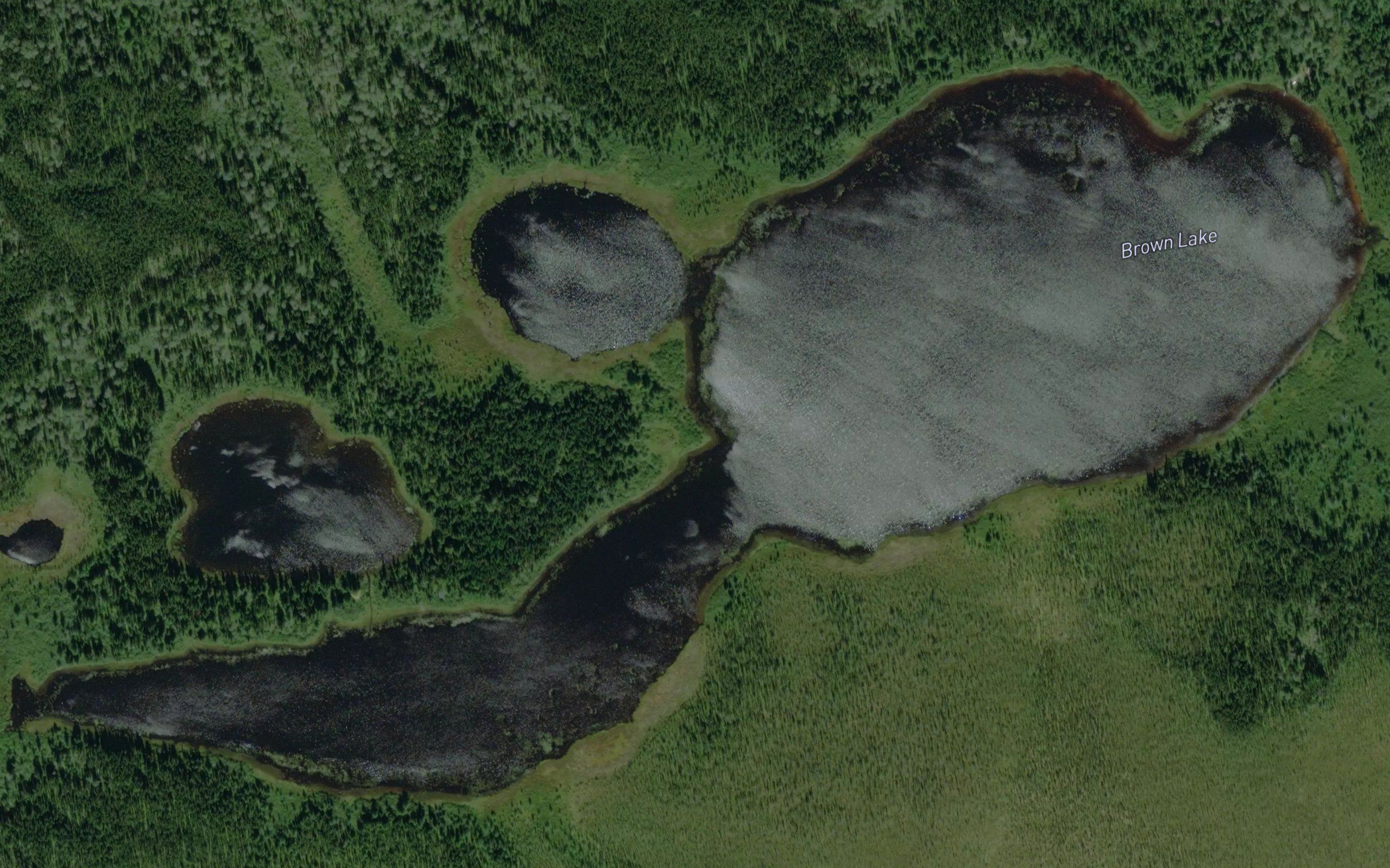 Brown Lake