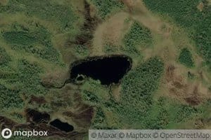 Hannulampi
