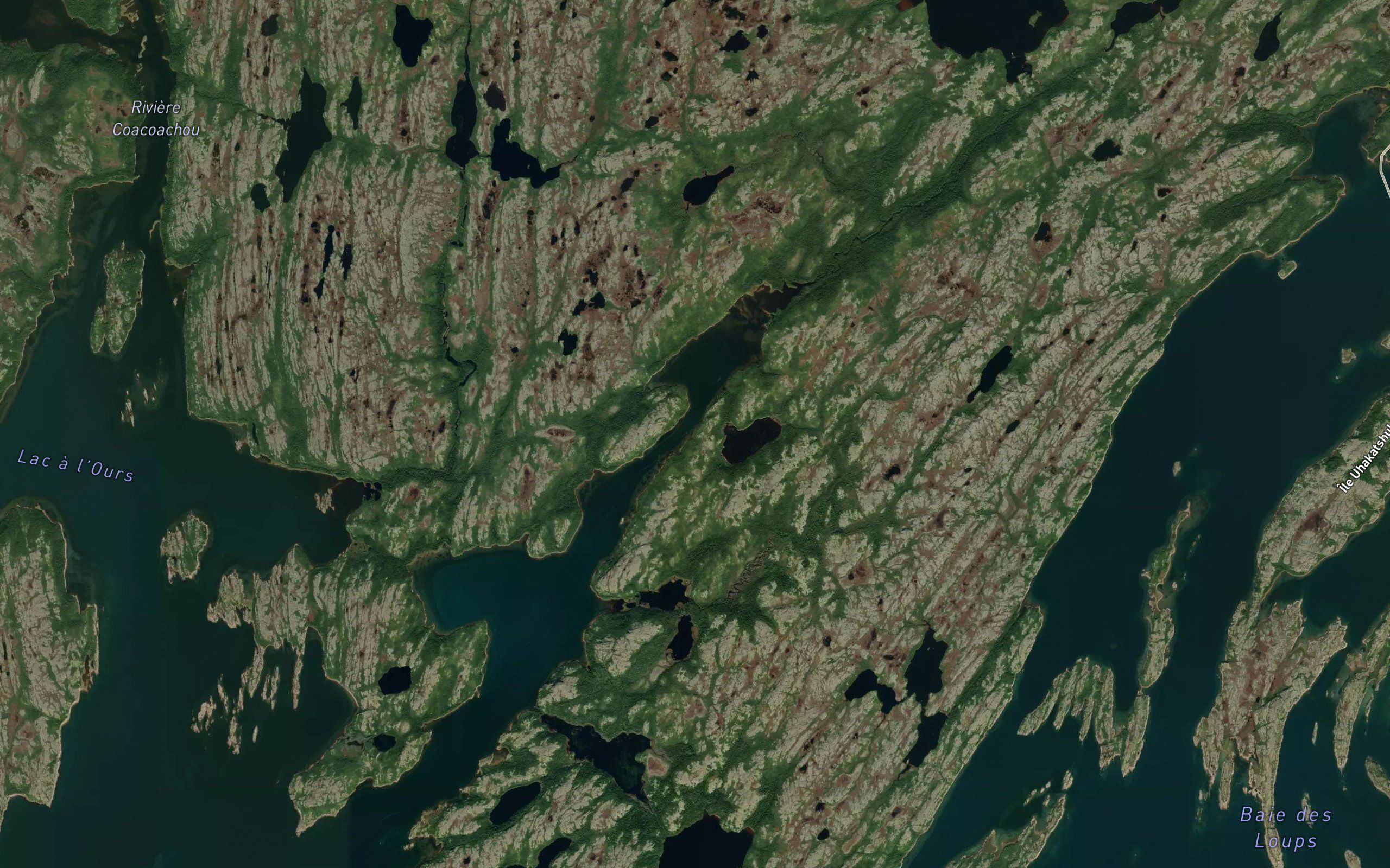 Baie Tertiary Shell