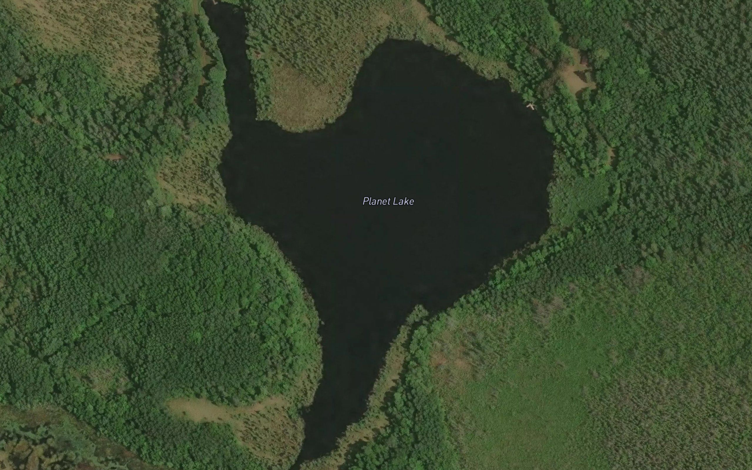 Planet Lake