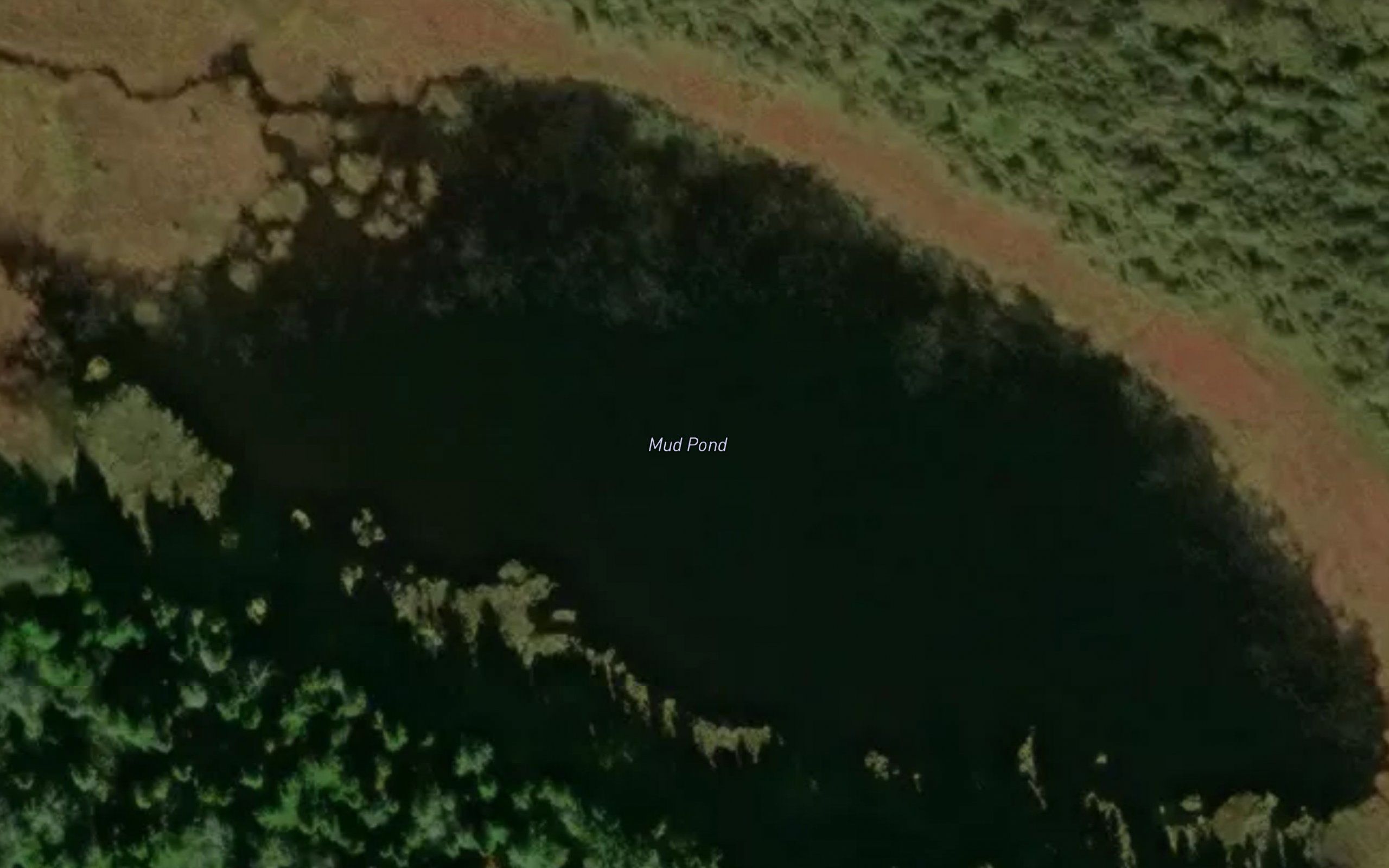 Mud Pond