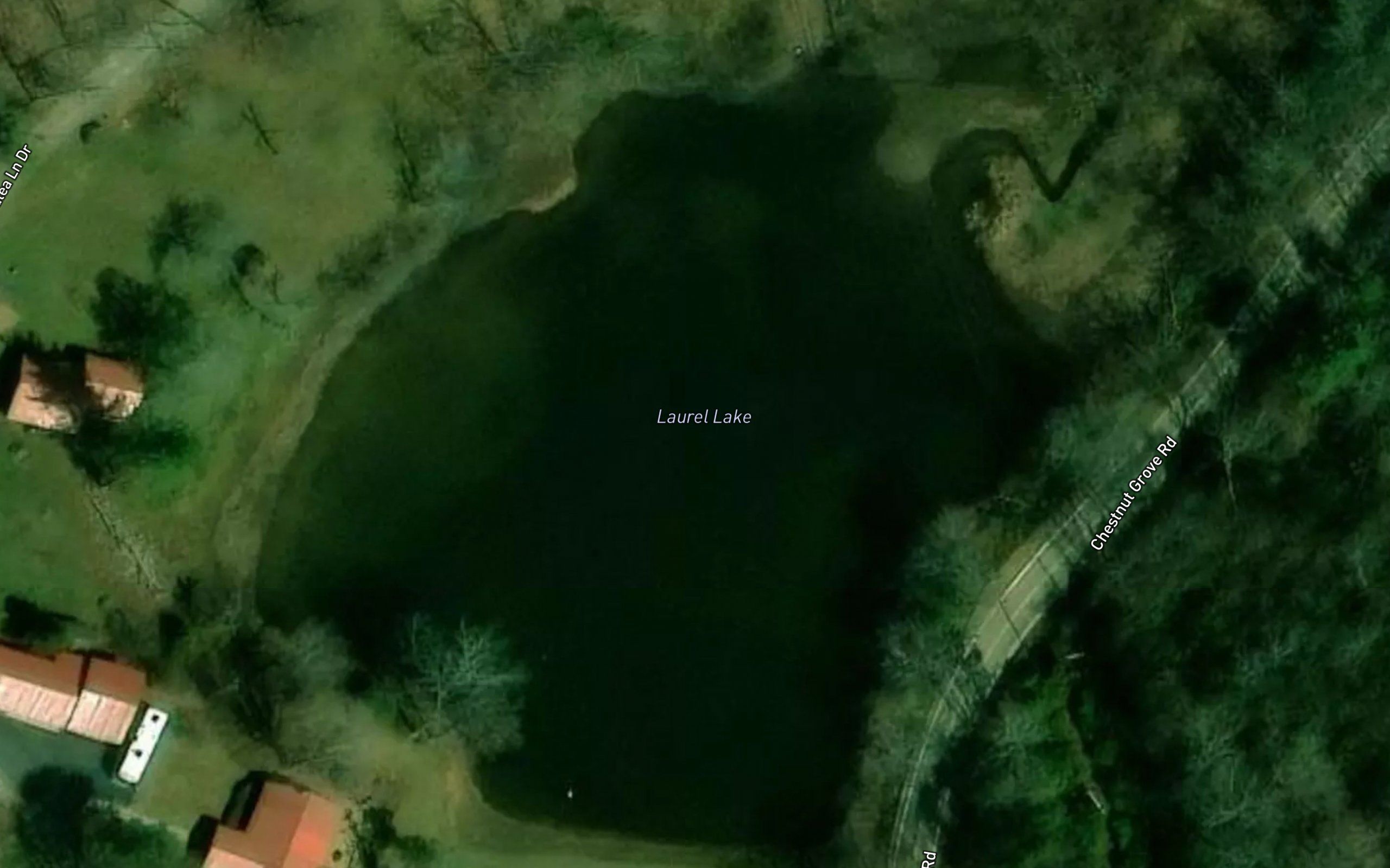 Laurel Lake